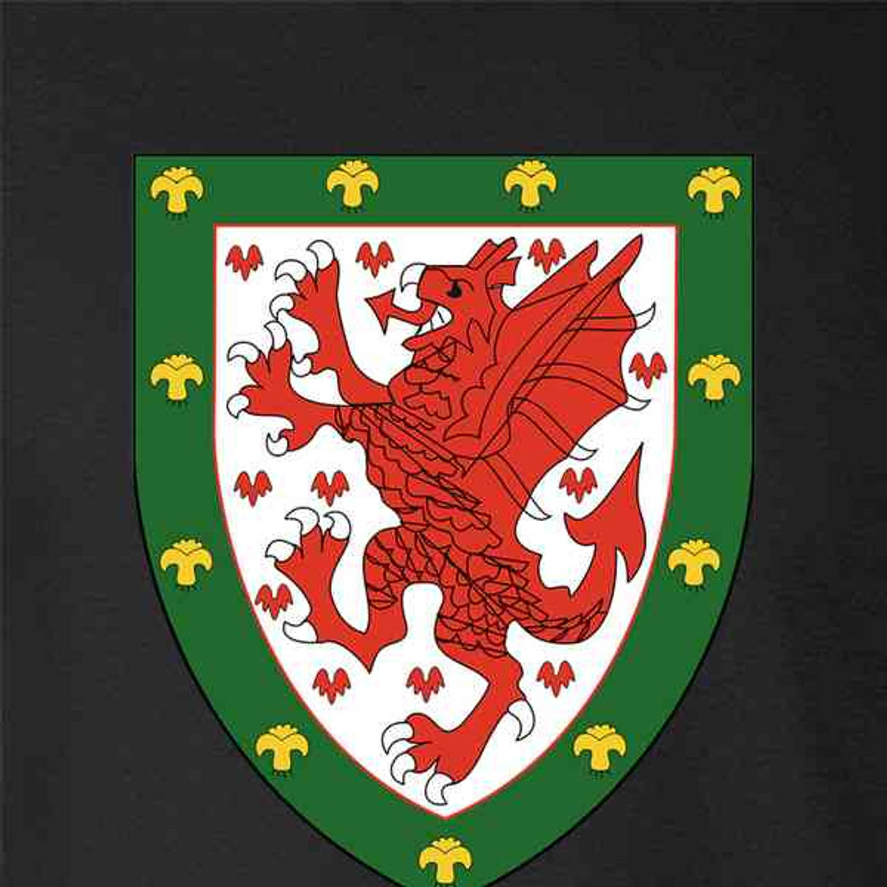 Wales National Football Team, shield crest, red dragon, HD Desktop Wallpaper
