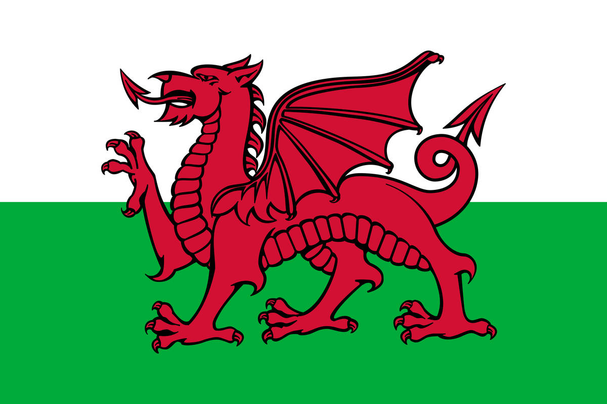 Wales National Football Team, red dragon, green and white field, SD Desktop Wallpaper