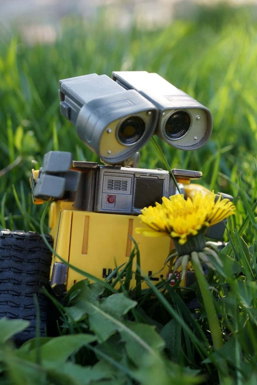 Wall E, iPhone, yellow robot toy, HD Phone Wallpaper