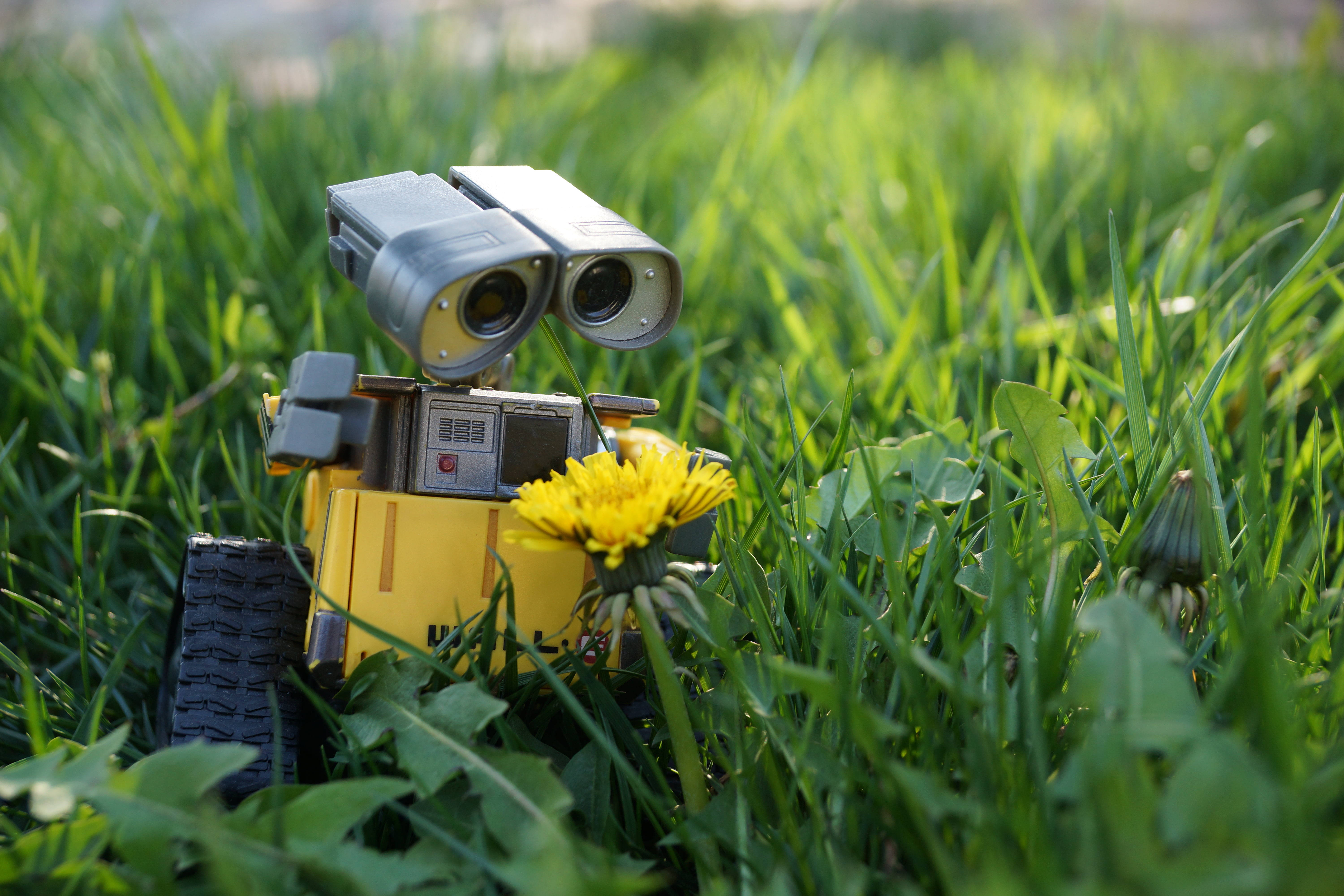 Wall E, yellow robot toy, vibrant green grass, 5K Desktop Wallpaper