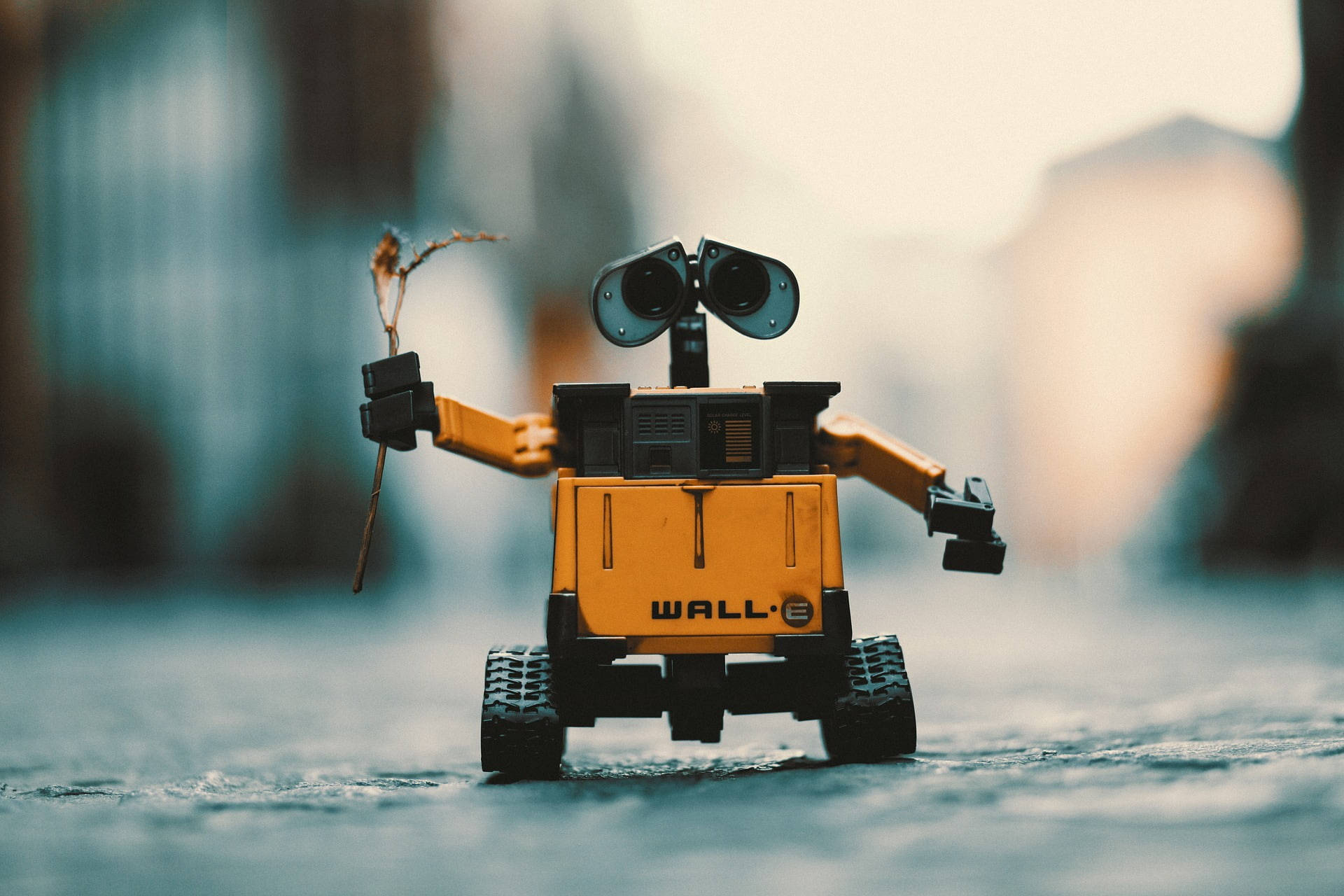WALL-E, yellow, twig, Full HD Desktop Wallpaper