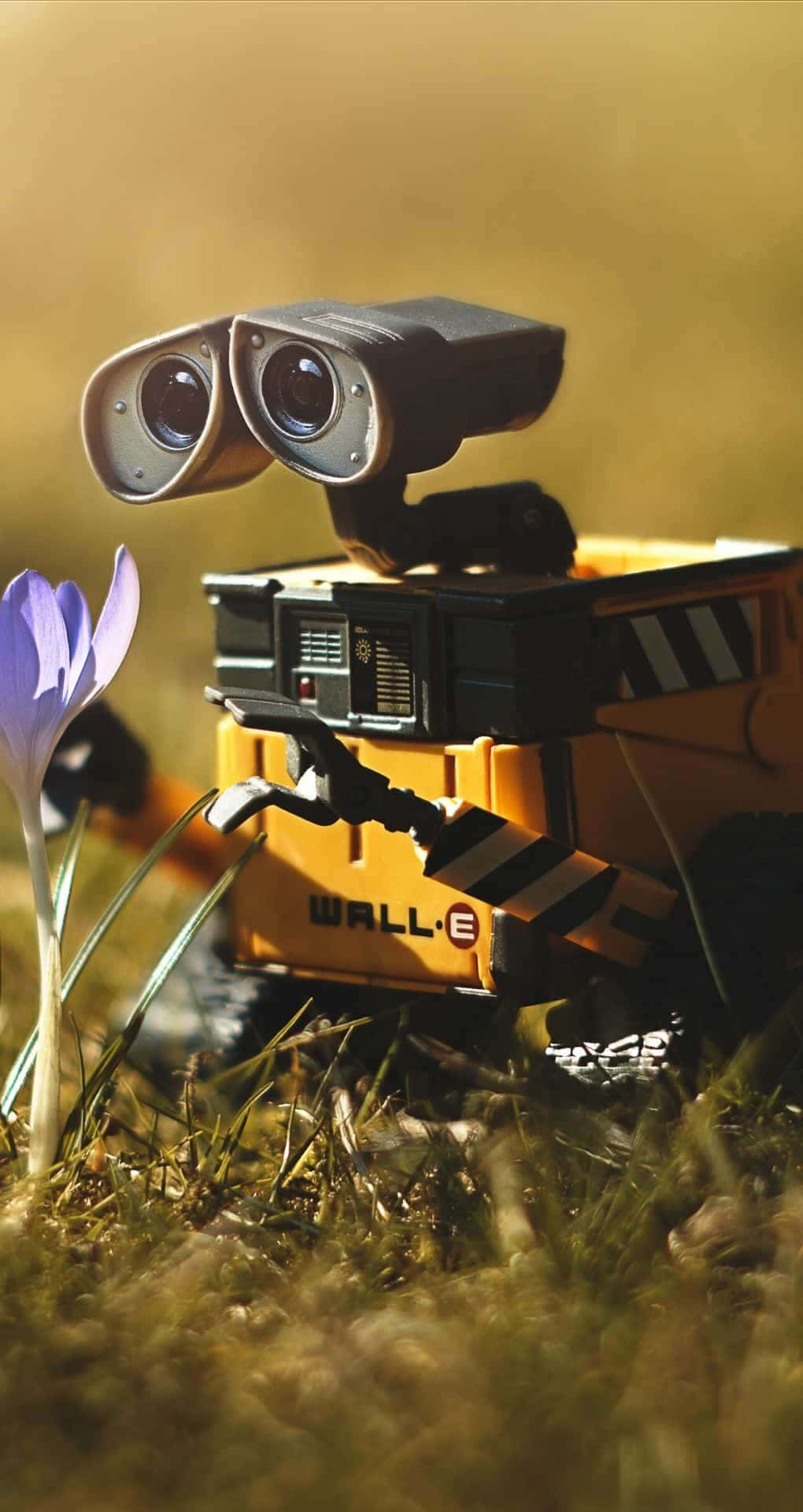 Wall E, iPhone, purple crocus, Full HD Phone Wallpaper