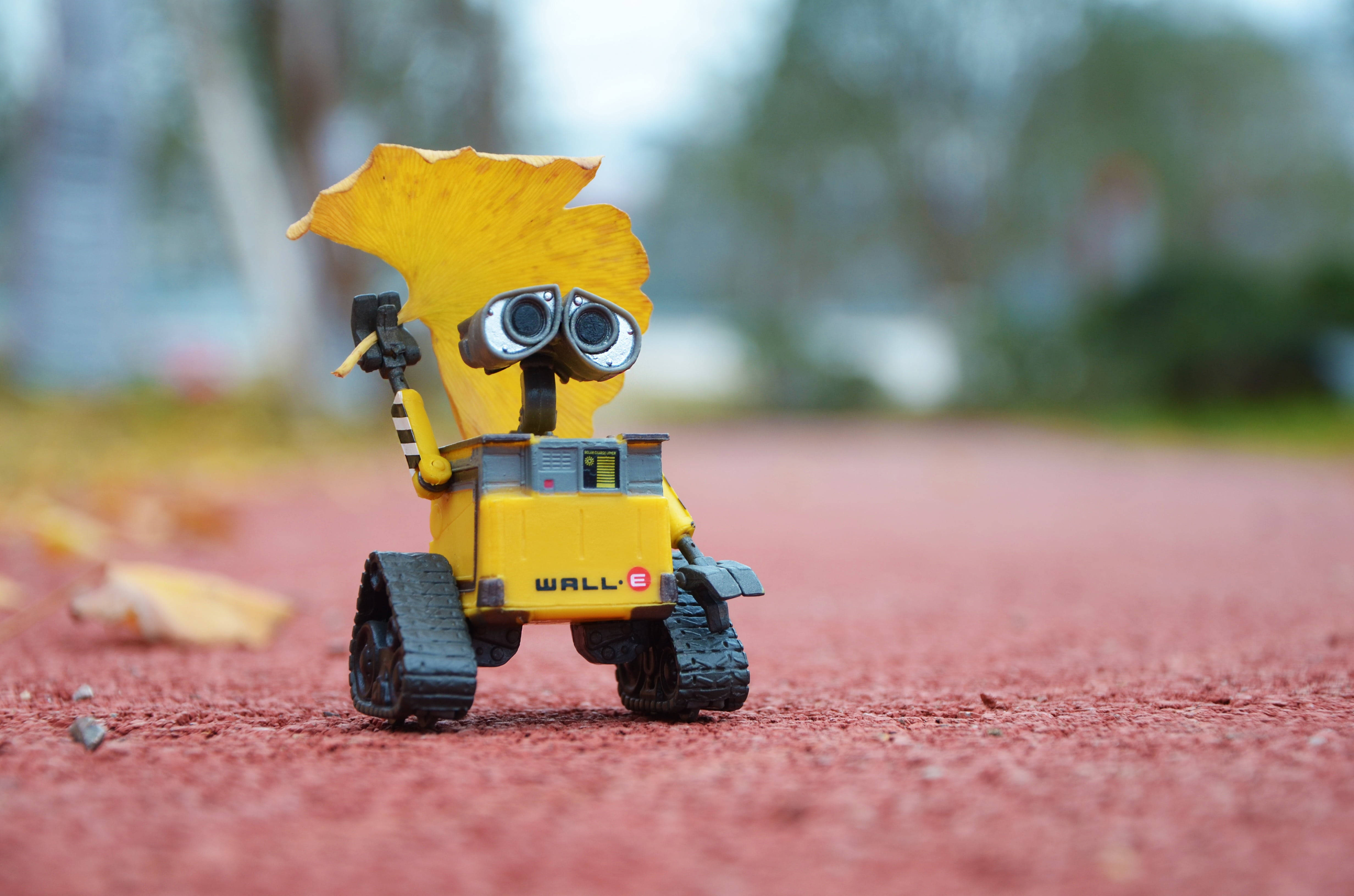 WALL-E, yellow leaf, red pavement, 4K Desktop Wallpaper