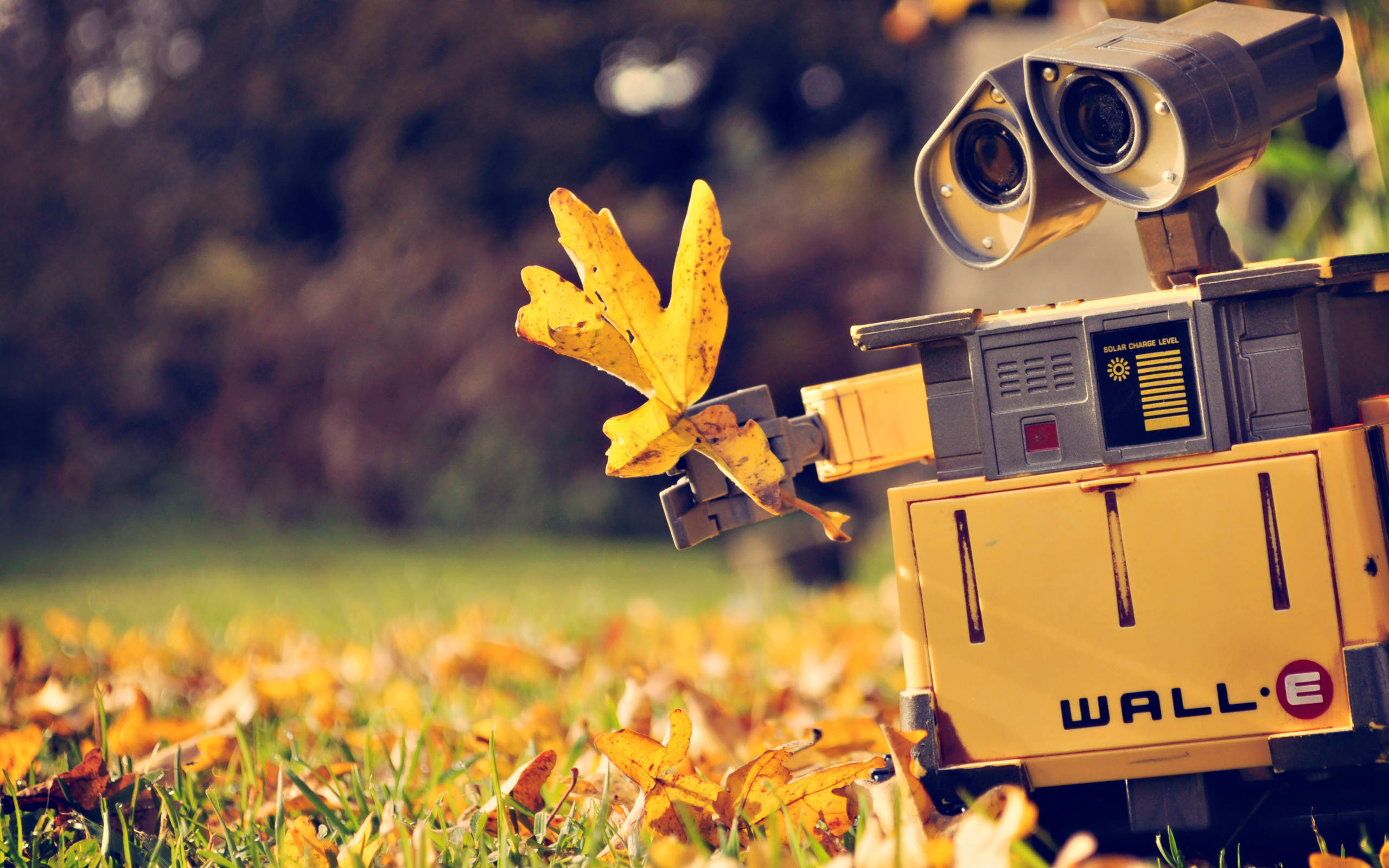 WALL-E, autumn leaves, yellow leaf, 2K Desktop Wallpaper
