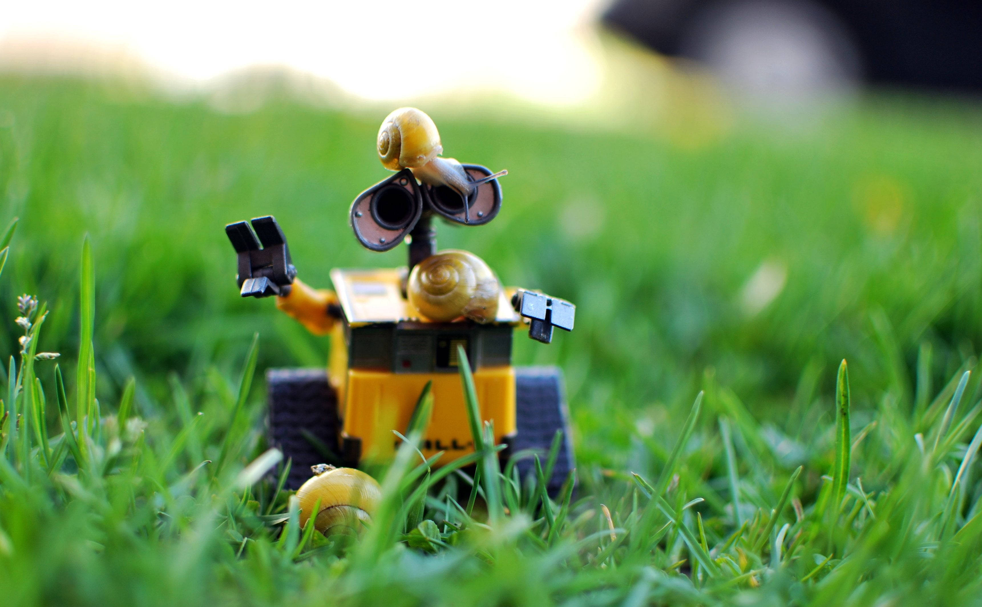 WALL E, snails, yellow robot toy, 2K Desktop Wallpaper