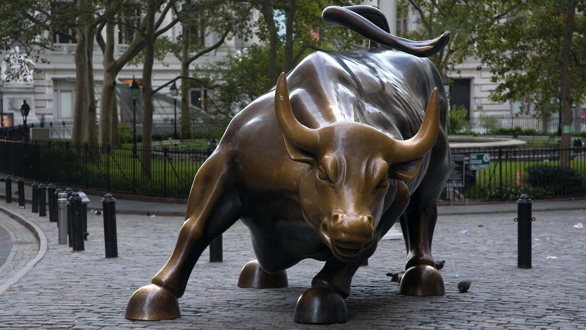 Wall Street, bronze bull statue, cobblestone plaza, Full HD Desktop Wallpaper