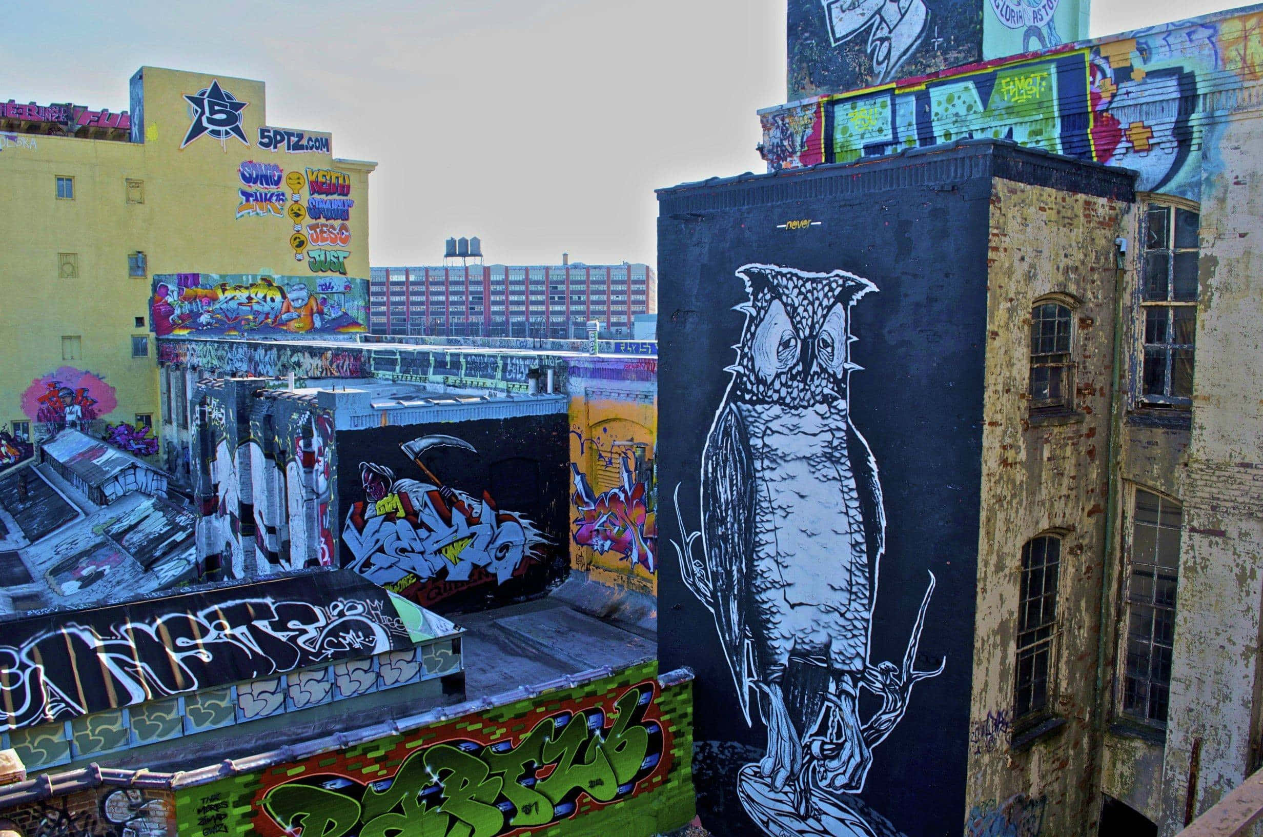 Wall Street, white owl mural, graffiti-covered urban rooftops, Full HD Desktop Wallpaper