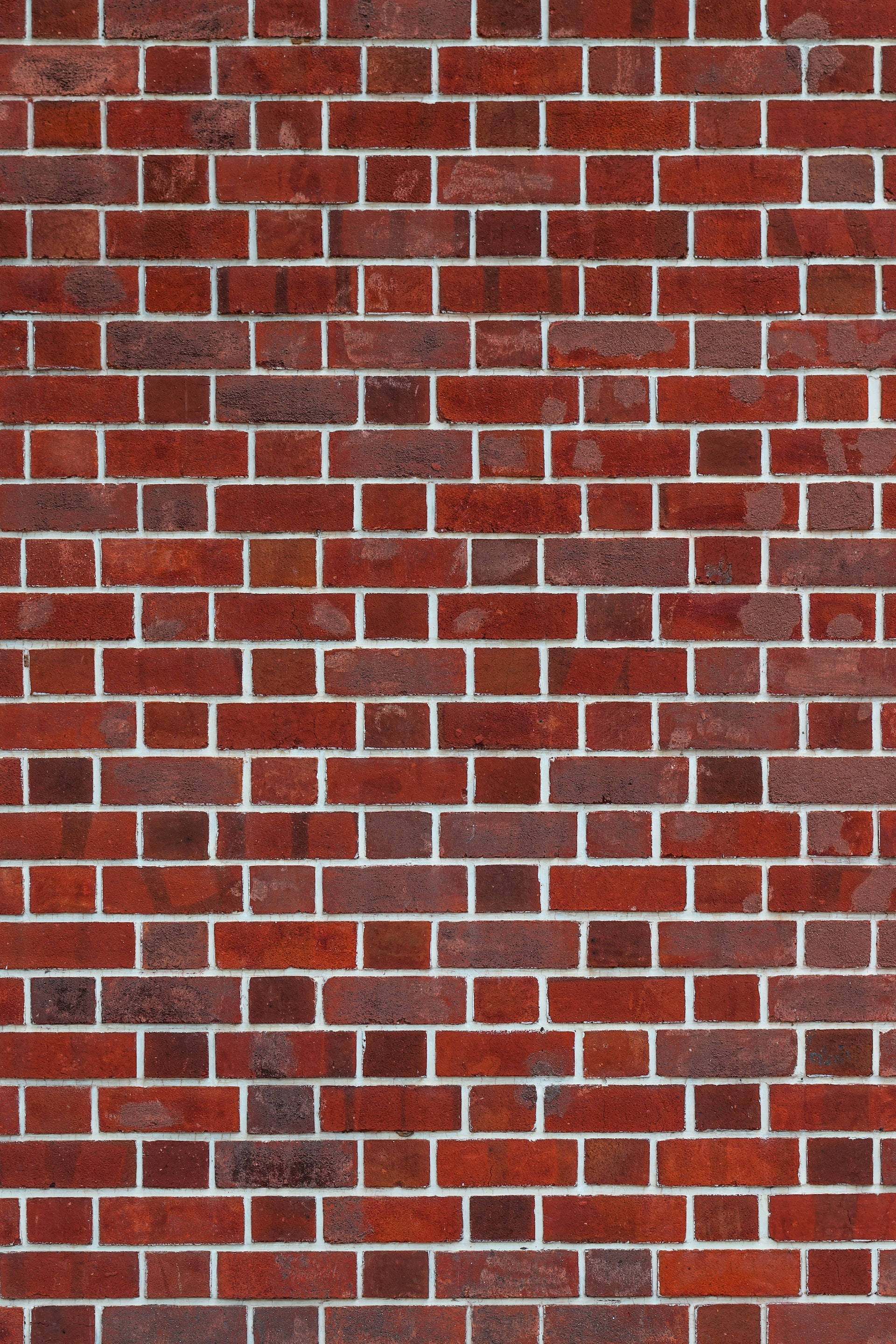 Flemish brick wall, red brick, white mortar lines, 2K Phone Wallpaper