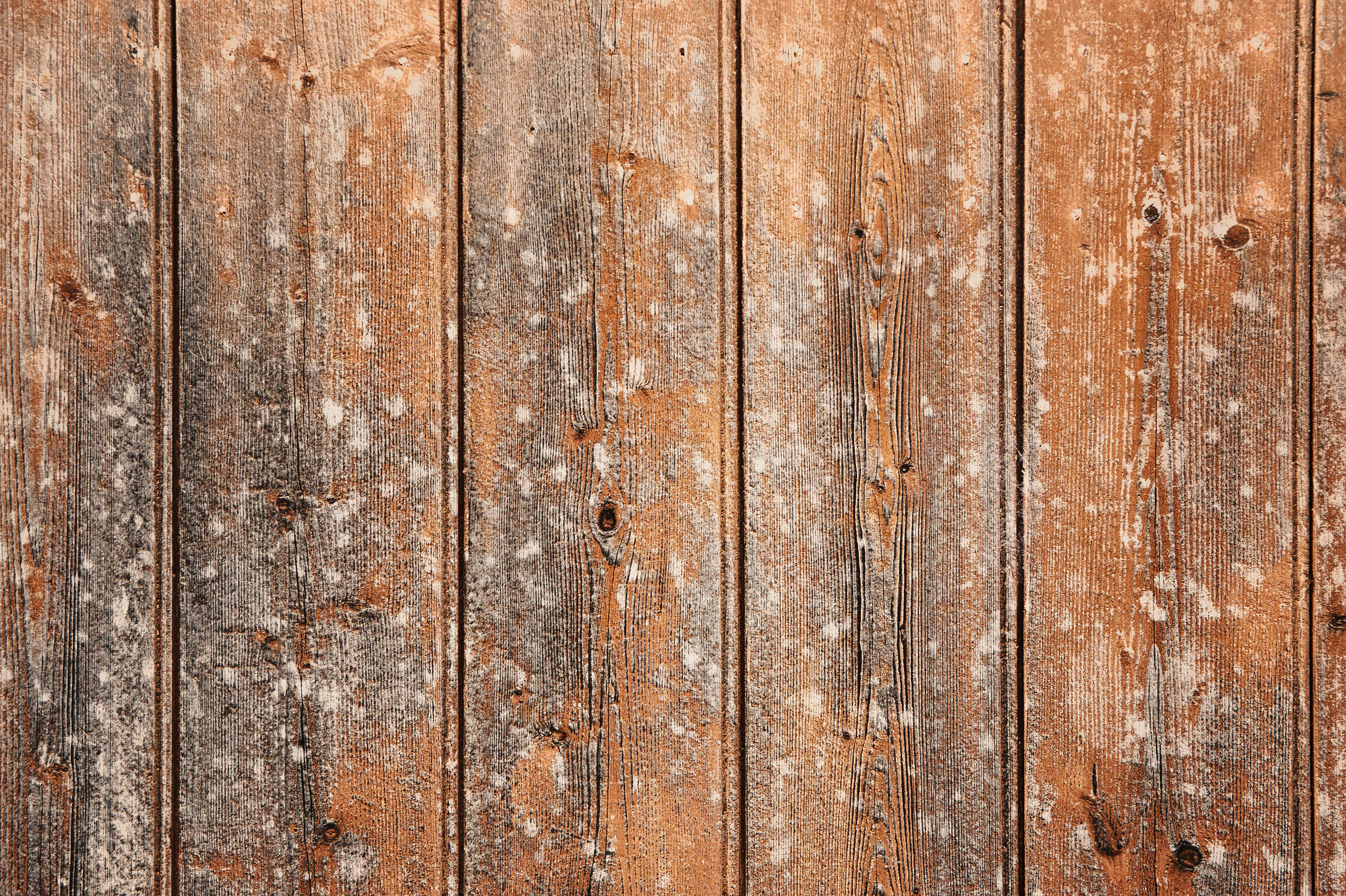 dirty wood panel wall texture, weathered wooden planks, peeling orange paint, 2K Desktop Wallpaper