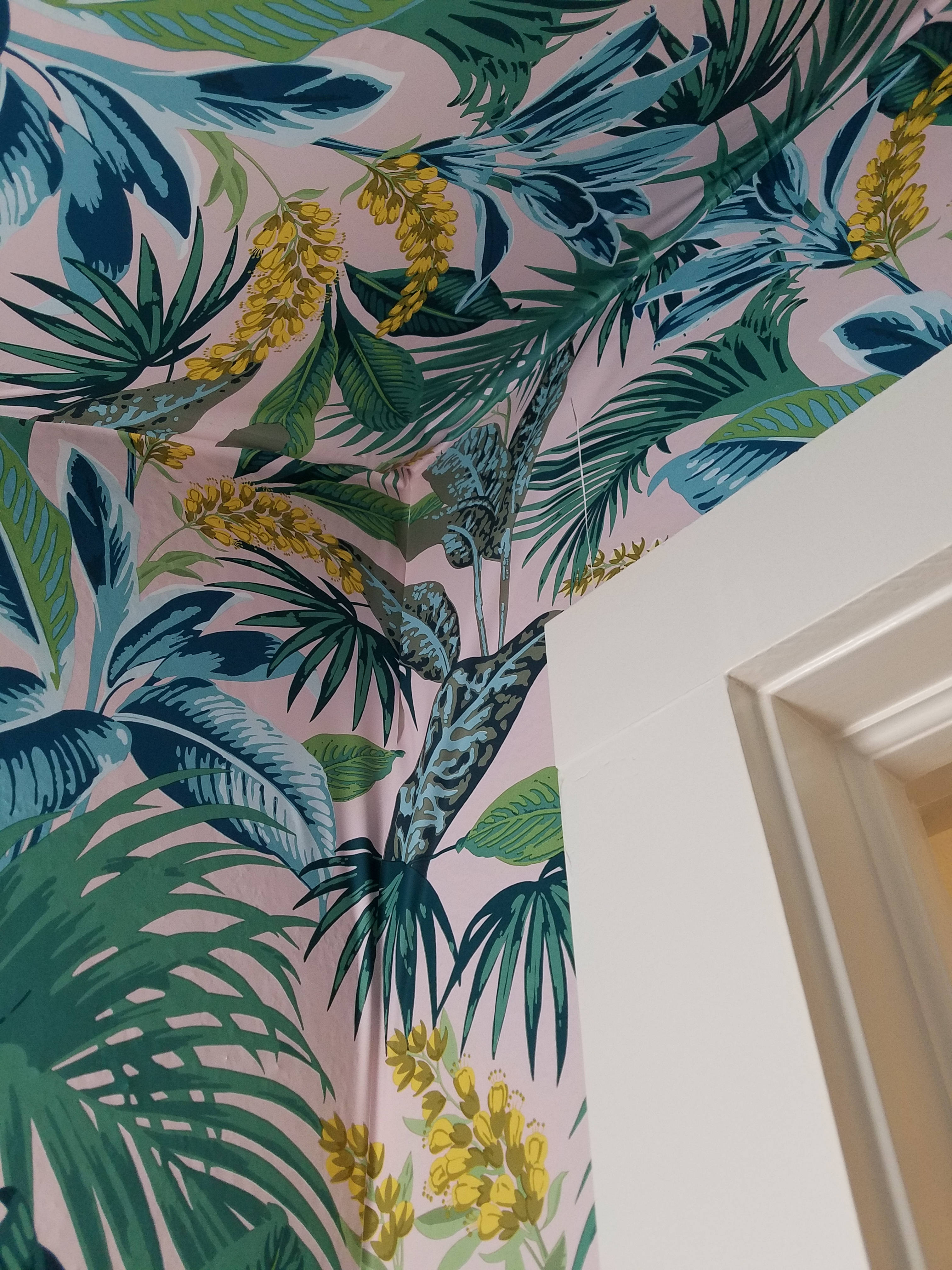 pliable tropical wall texture, lush green, blue leaves, 4K Phone Wallpaper