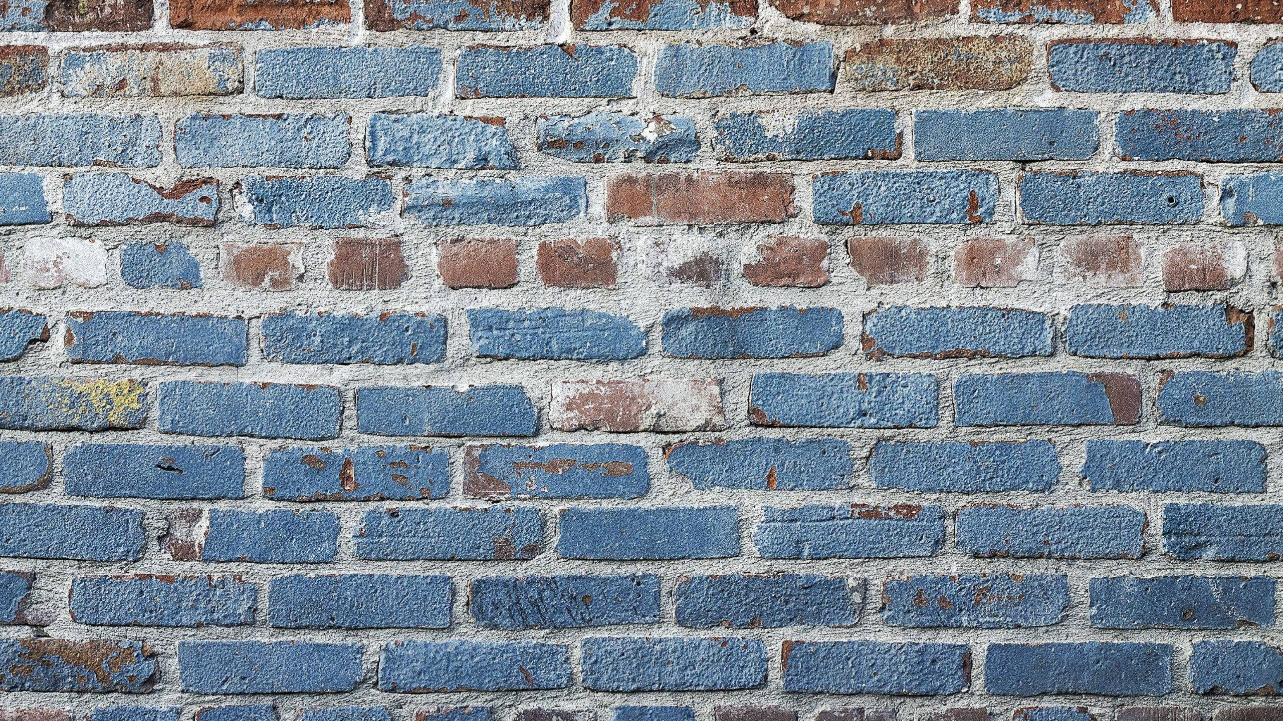 blue, brown, brick wall, 2K Desktop Wallpaper