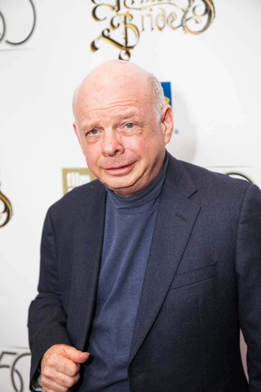 Wallace Shawn, dark suit, blue turtleneck, HD Phone Wallpaper