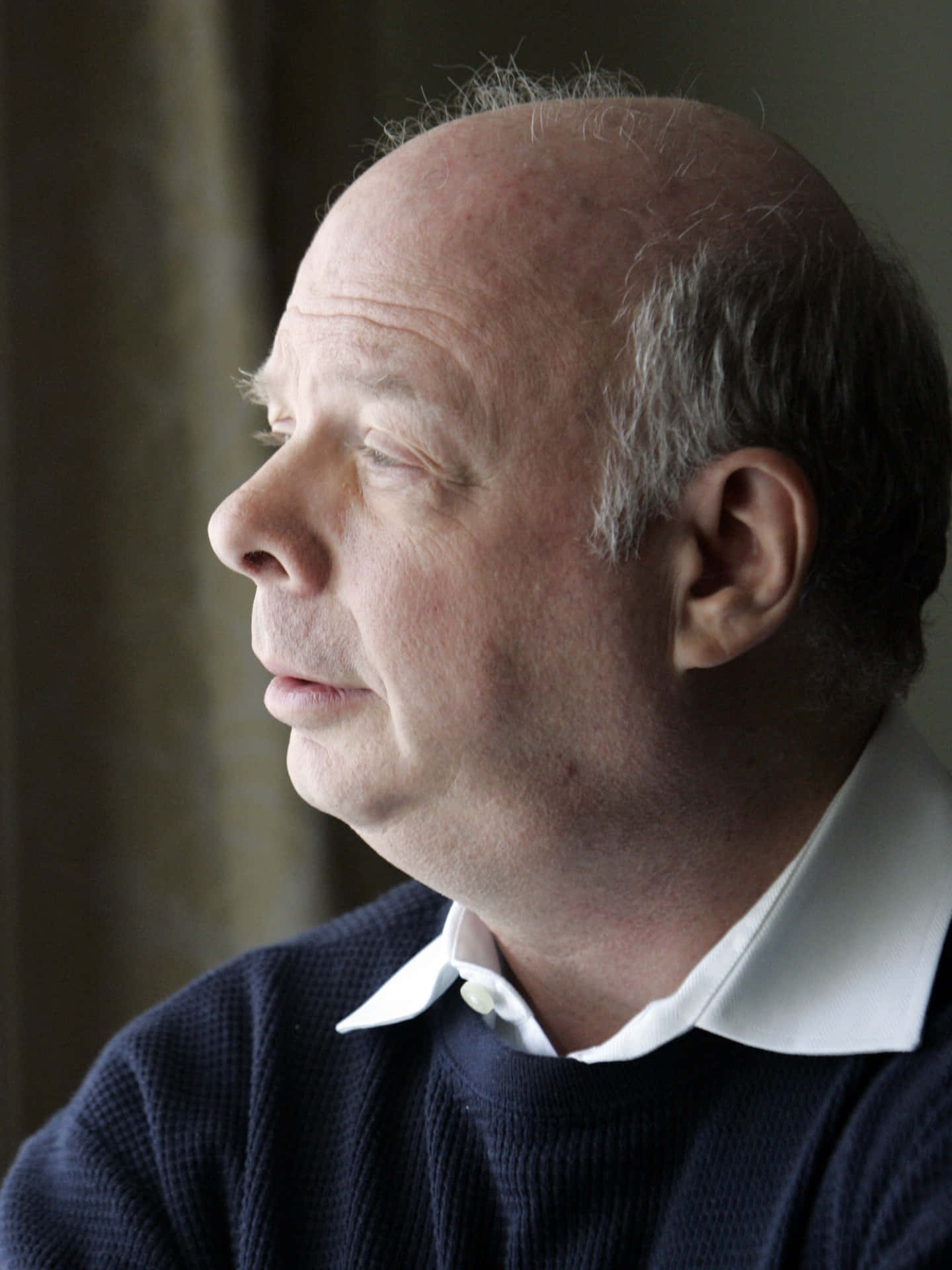 Wallace Shawn, balding man, dark sweater, Full HD Phone Wallpaper