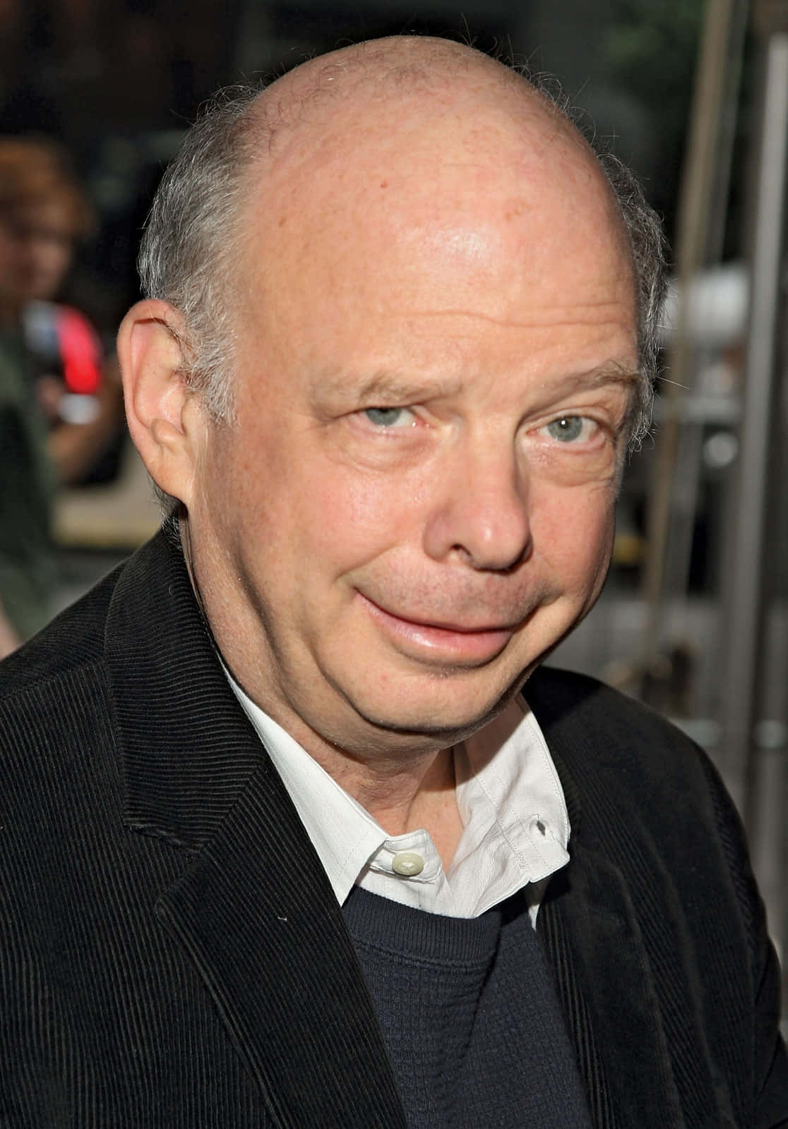 Wallace Shawn, blue eyes, dark corduroy jacket, HD Phone Wallpaper
