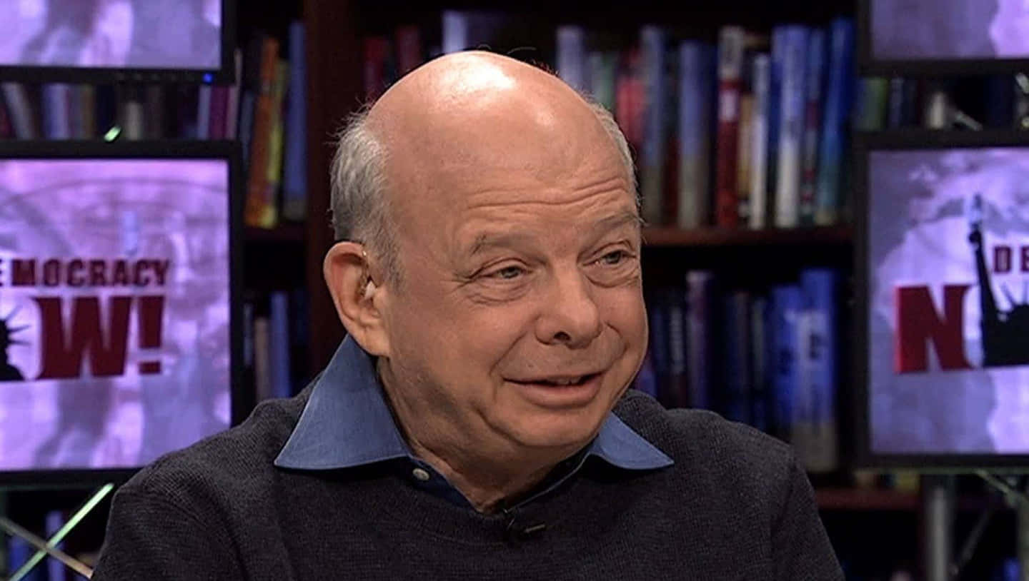 Wallace Shawn, dark sweater, blue collared shirt, HD Desktop Wallpaper