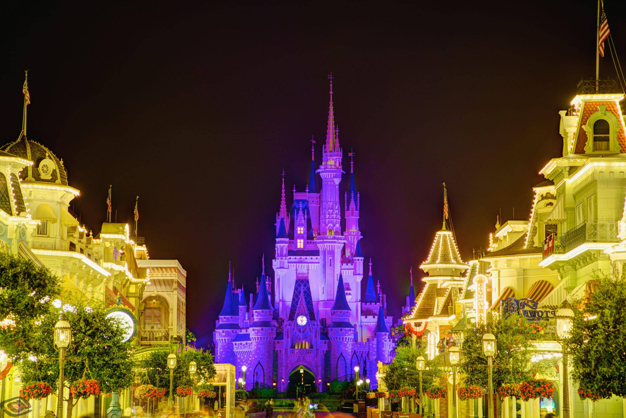 Walt Disney World, castle, purple light, 2K Desktop Wallpaper