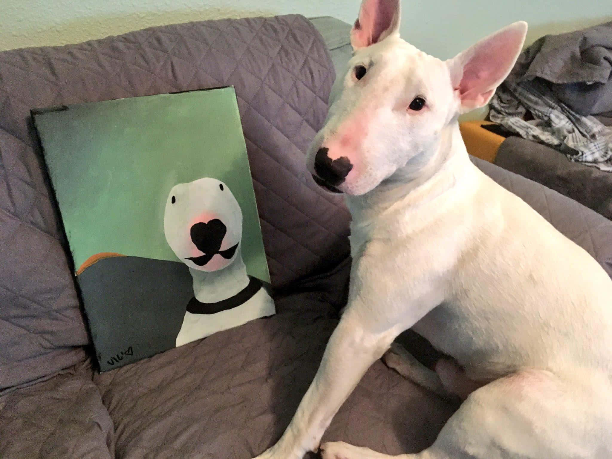 Walter The Dog, white bull terrier, painted portrait, Full HD Desktop Wallpaper