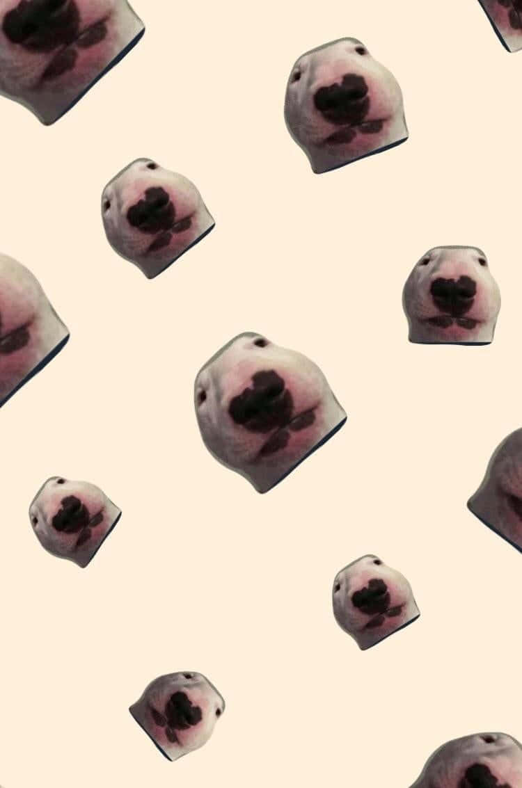 Walter The Dog, dog nose patterns, soft beige background, SD Phone Wallpaper