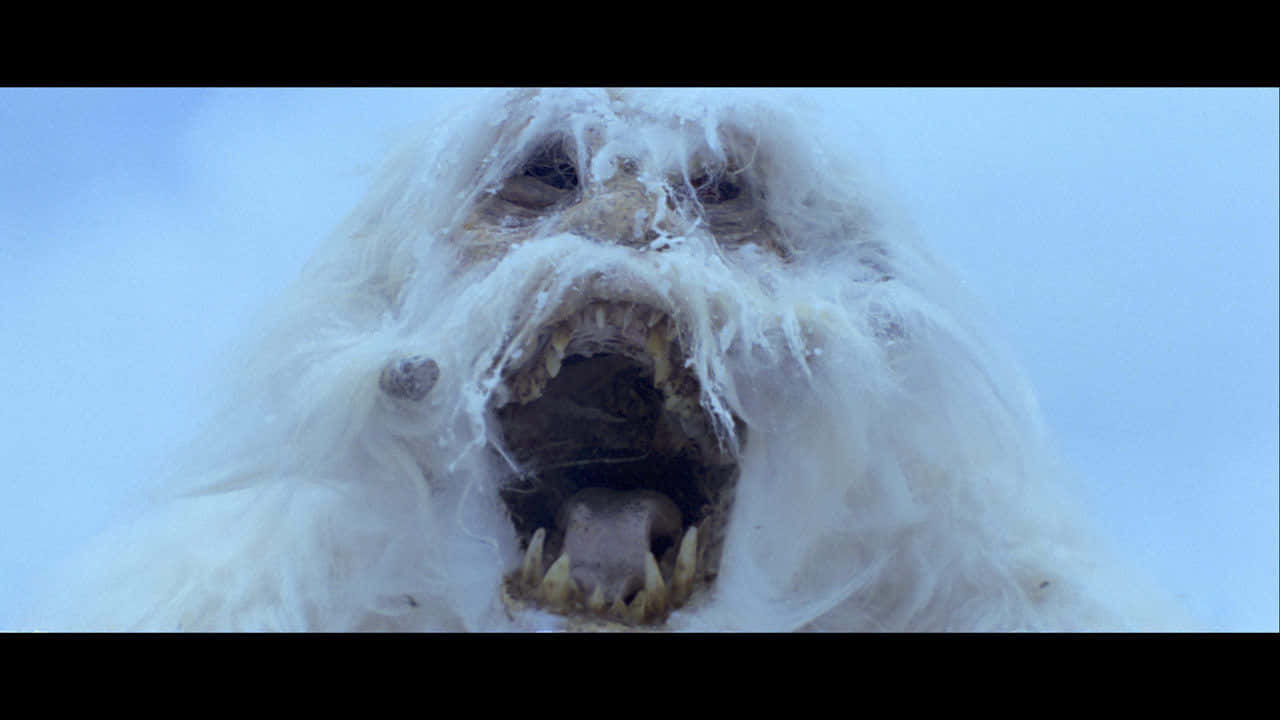 Wampa, white-furred creature, icy fur, HD Desktop Wallpaper