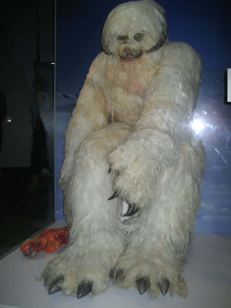 Wampa, white furry creature, sharp claws, SD Phone Wallpaper