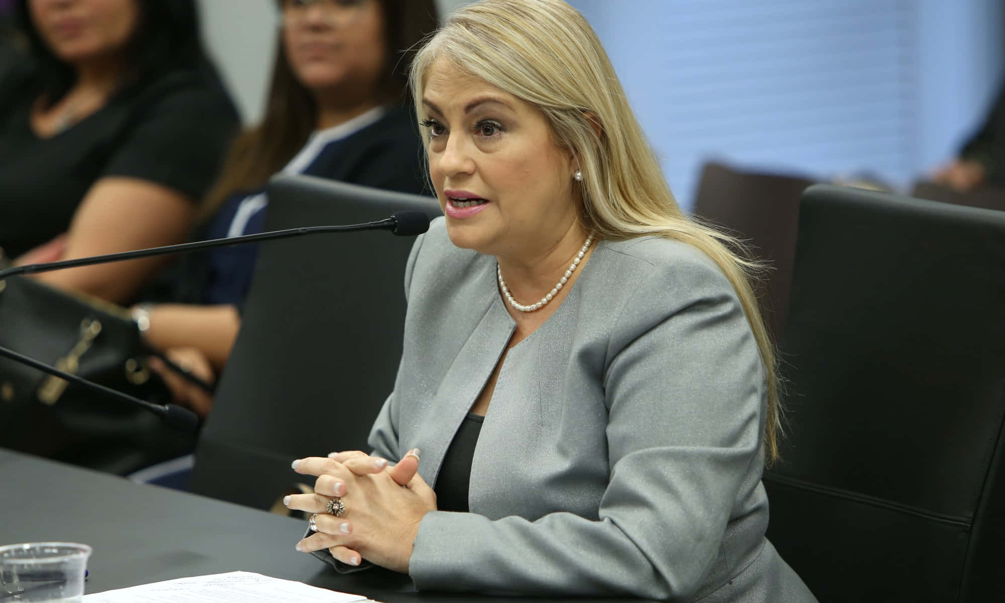 Wanda Vázquez Garced, gray blazer, microphone, Full HD Desktop Wallpaper