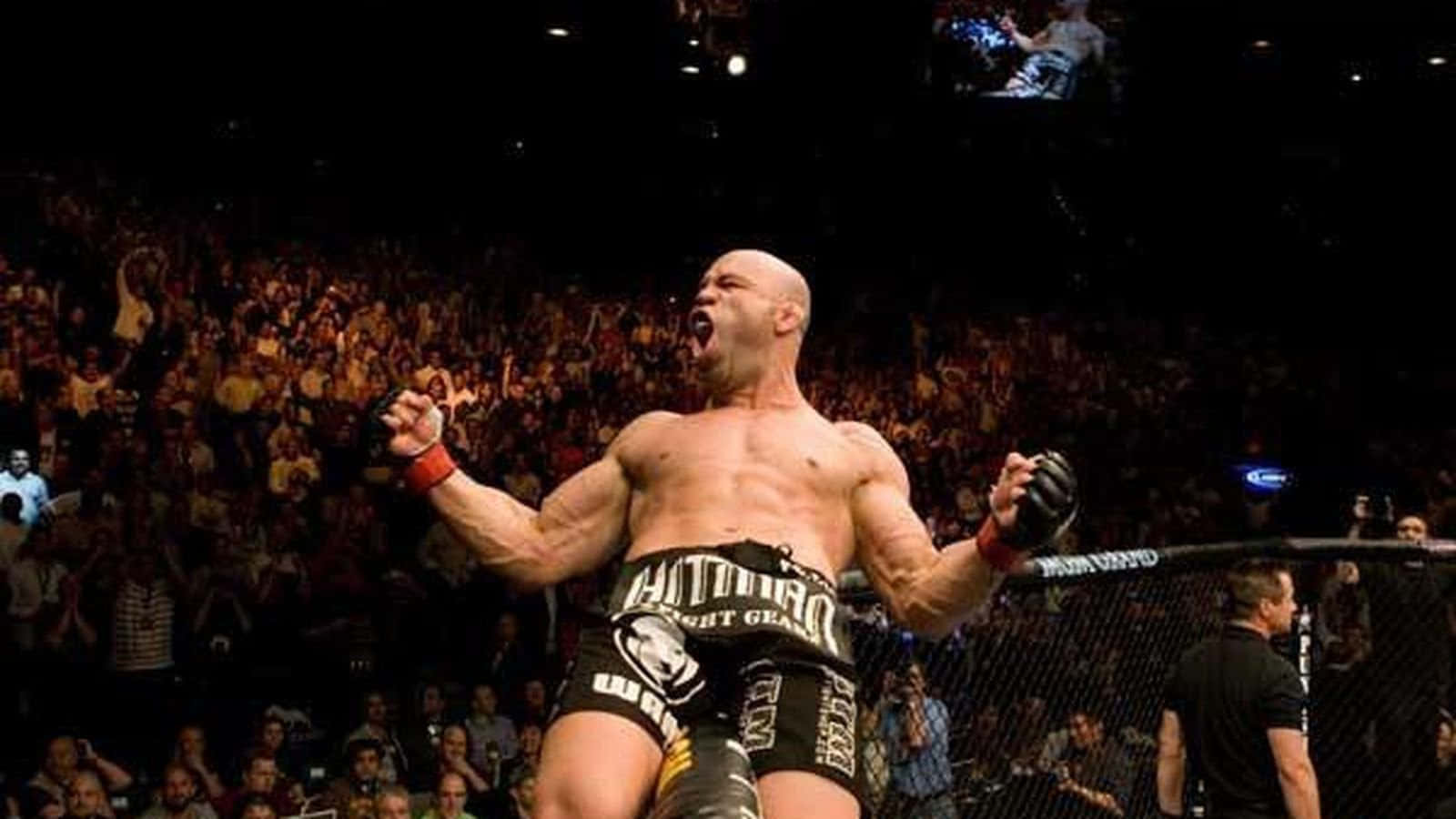 Wanderlei Silva, cage, cheering crowd, HD Desktop Wallpaper