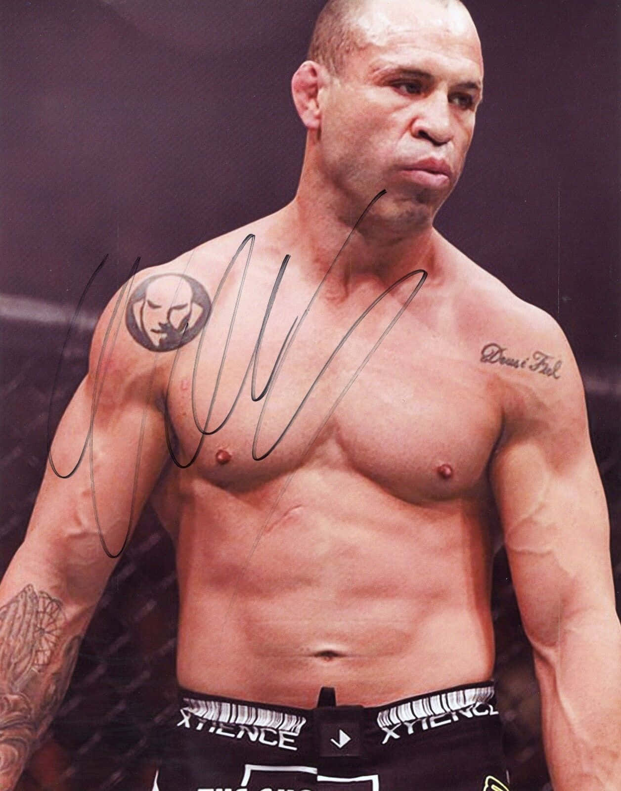 Wanderlei Silva, cage, black shorts, HD Phone Wallpaper