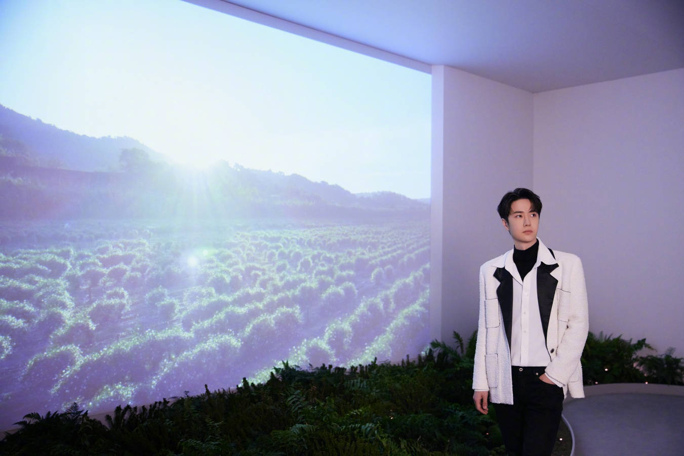 Wang yibo, white jacket, minimalist room, HD Desktop Wallpaper