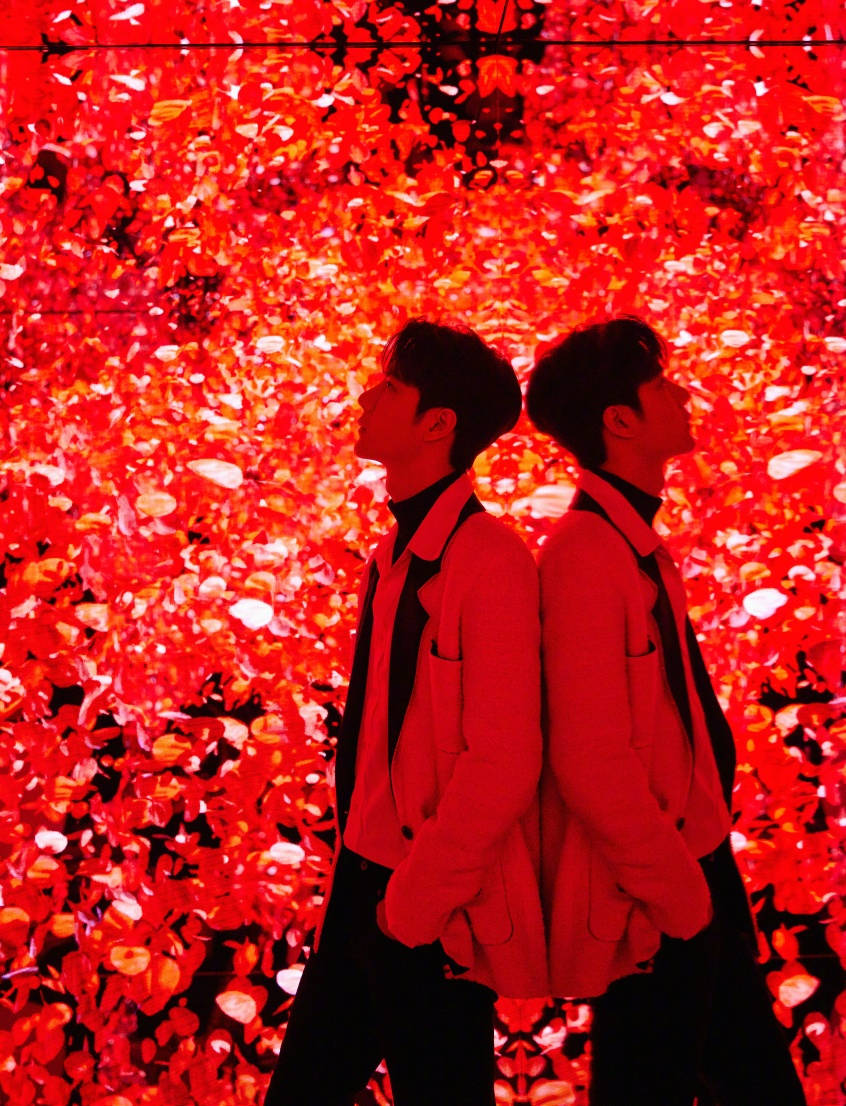 Wang Yibo, red mirror, vibrant red leafy wall, SD Phone Wallpaper