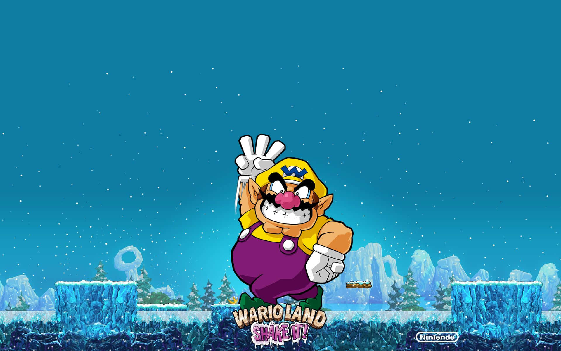 Wario, snowy landscape, starry teal sky, Full HD Desktop Wallpaper
