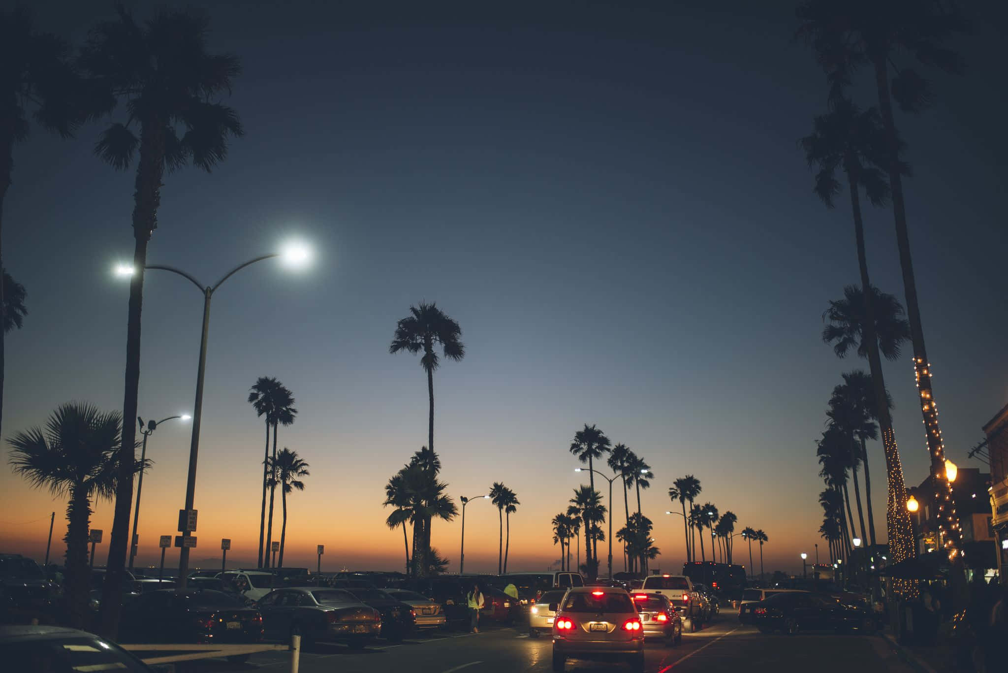 California summer, palm trees, bustling street, Full HD Desktop Wallpaper