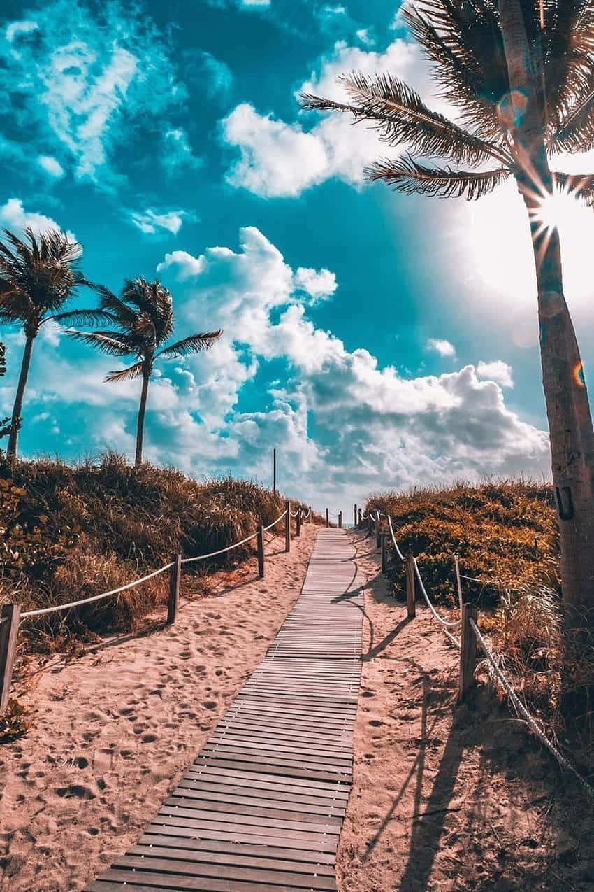 California Summer, wooden boardwalk, sandy dunes, SD Phone Wallpaper