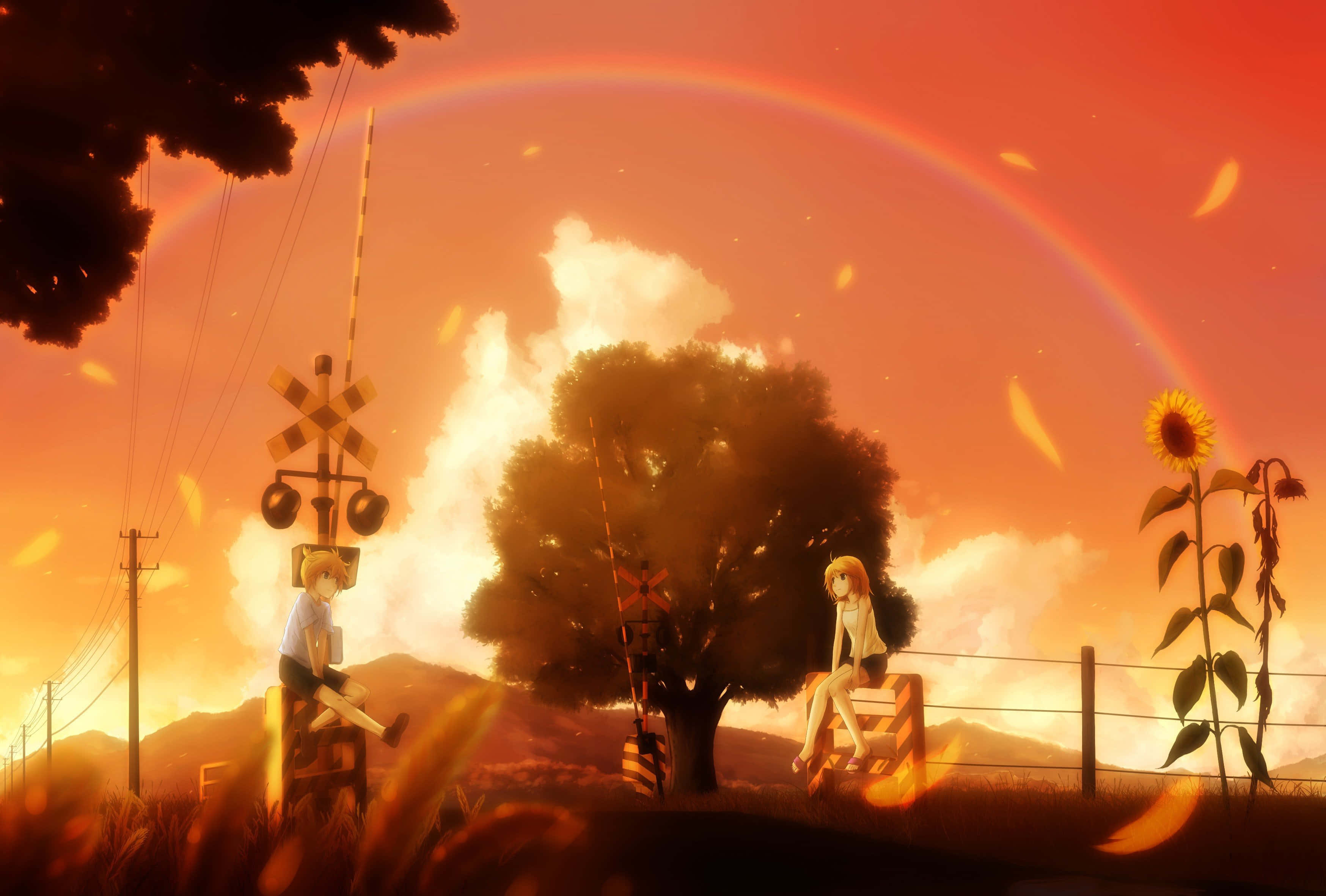 Golden Hour, rainbow, train crossing, 2K Desktop Wallpaper