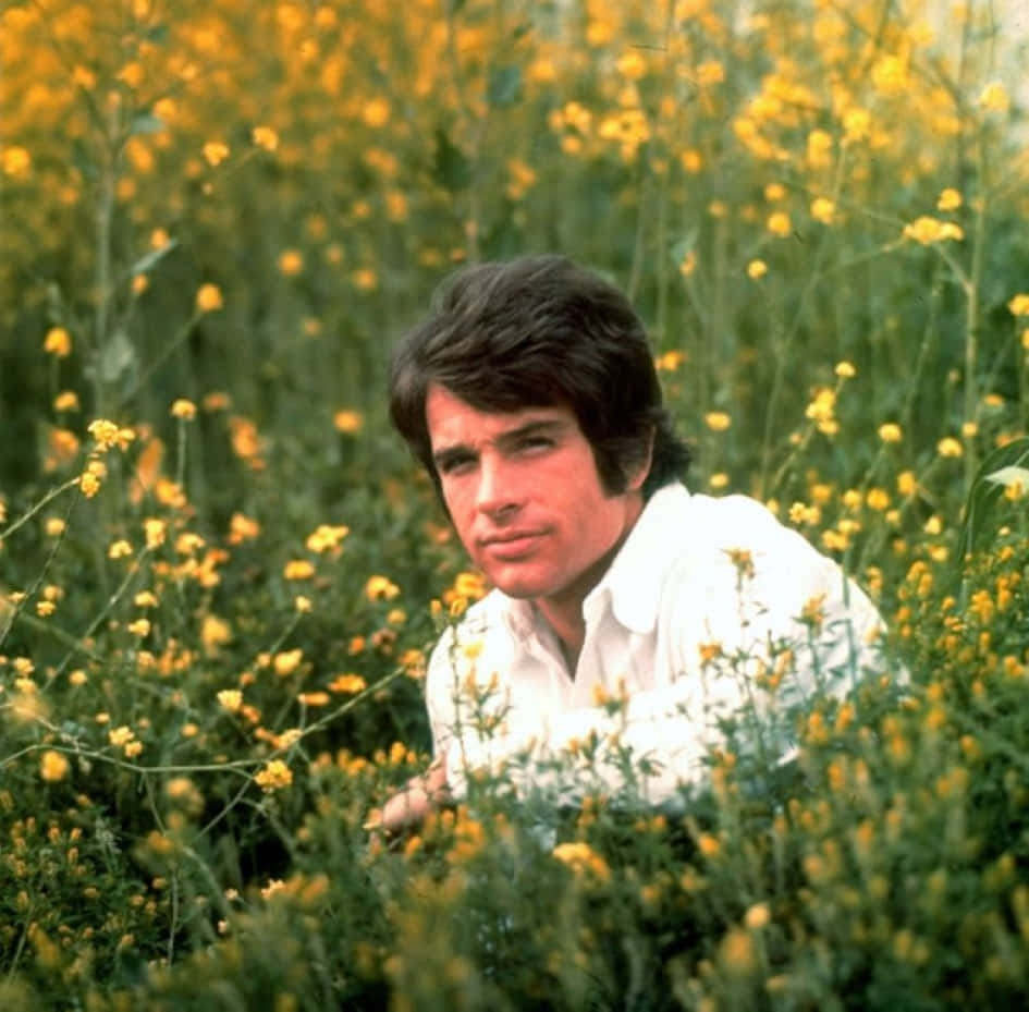 Warren Beatty, white shirt, yellow wildflowers, SD Desktop Wallpaper