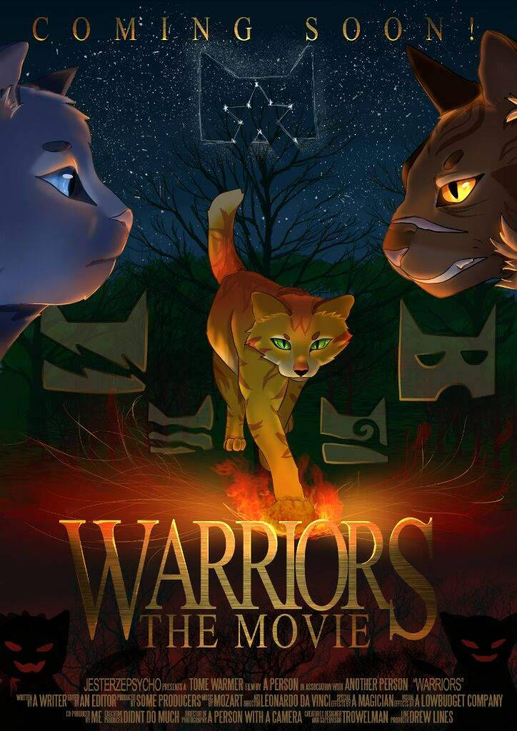 Warrior Cats, fiery orange cat, starry night sky, SD Phone Wallpaper