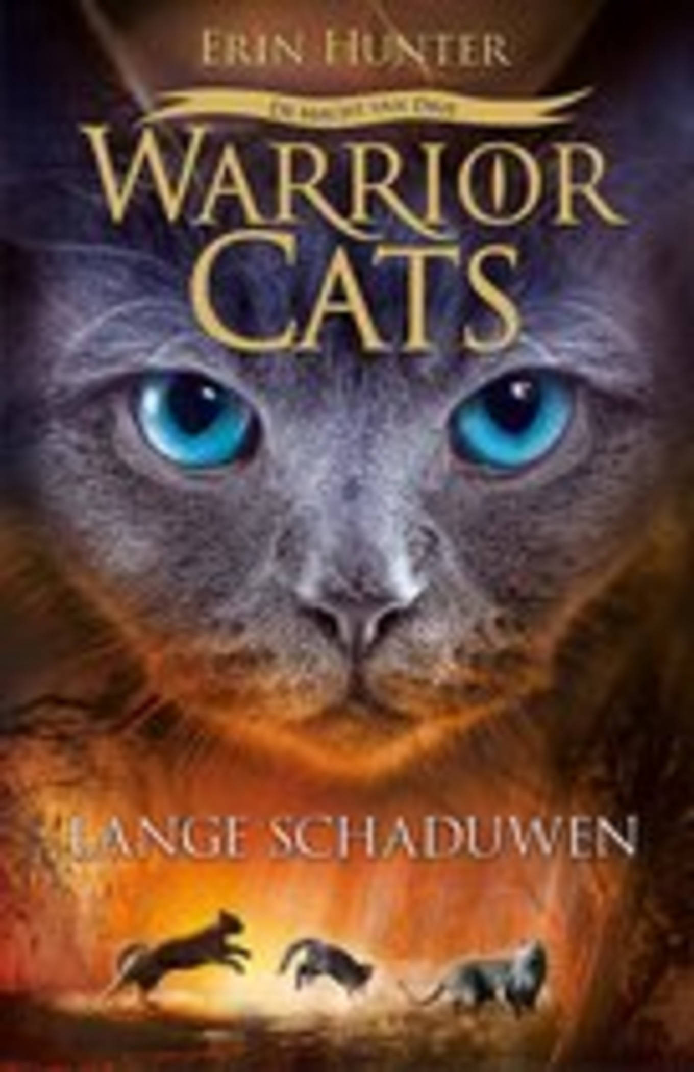 Warrior Cats, gray cat, piercing blue eyes, Full HD Phone Wallpaper