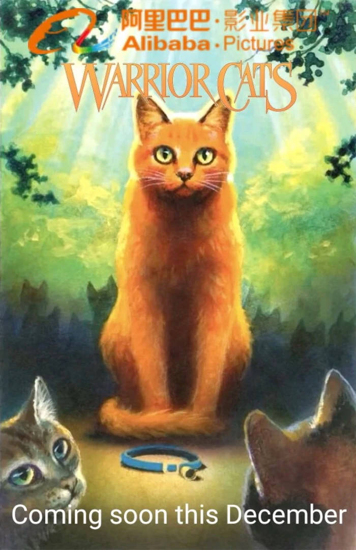 Warrior Cats, ginger cat, sunlit forest clearing, SD Phone Wallpaper