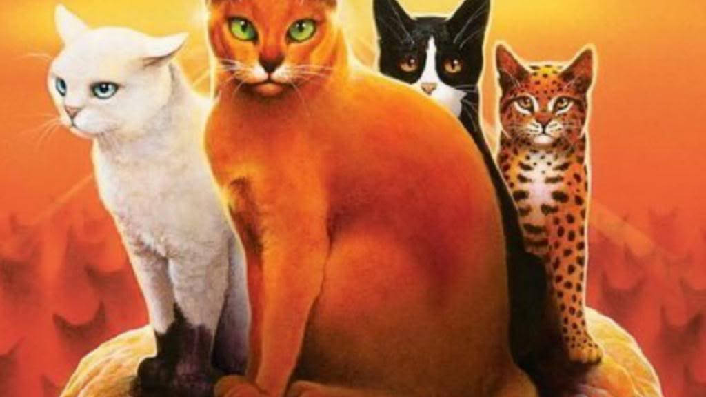 Warrior Cats, rock, sun, SD Desktop Wallpaper