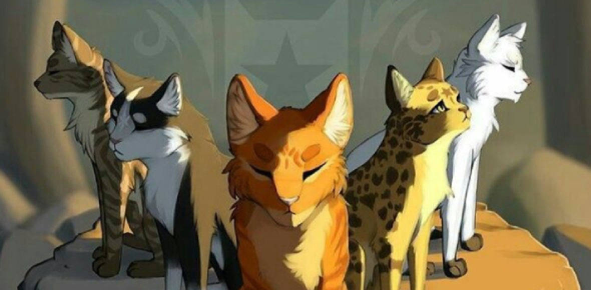 Warrior Cats, 5 stylized cat-like creatures, unique fur patterns, SD Desktop Wallpaper
