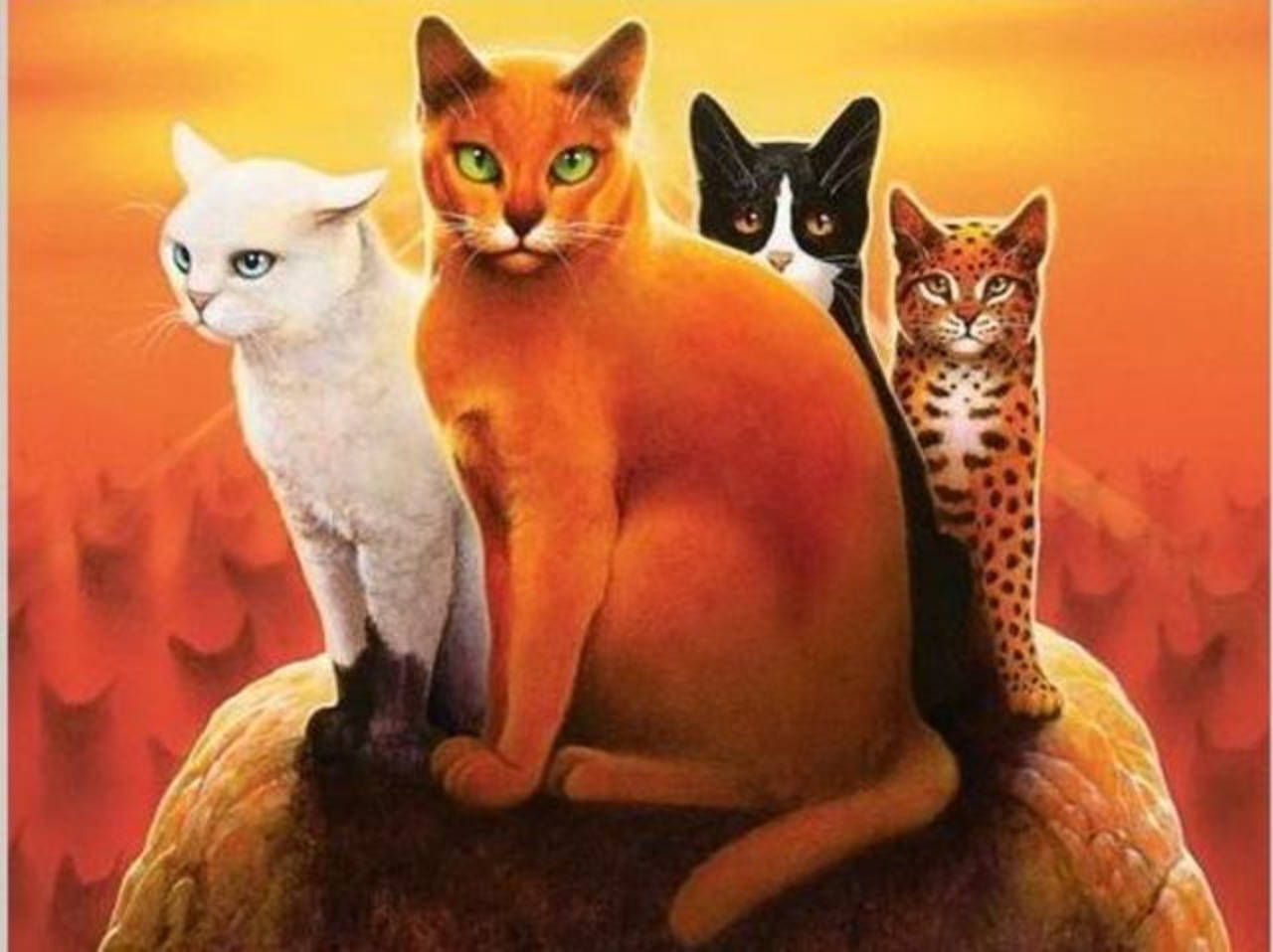 Warrior Cats, rocky outcrop, fiery orange sunset sky, HD Desktop Wallpaper