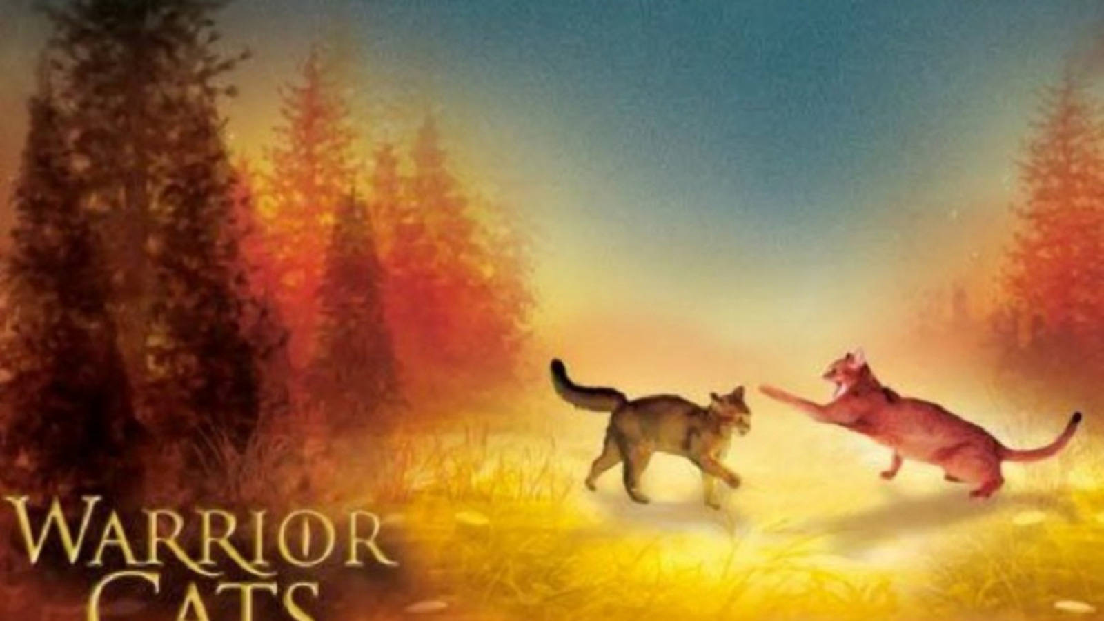 Warrior Cats, forest clearing, sunset, HD Desktop Wallpaper