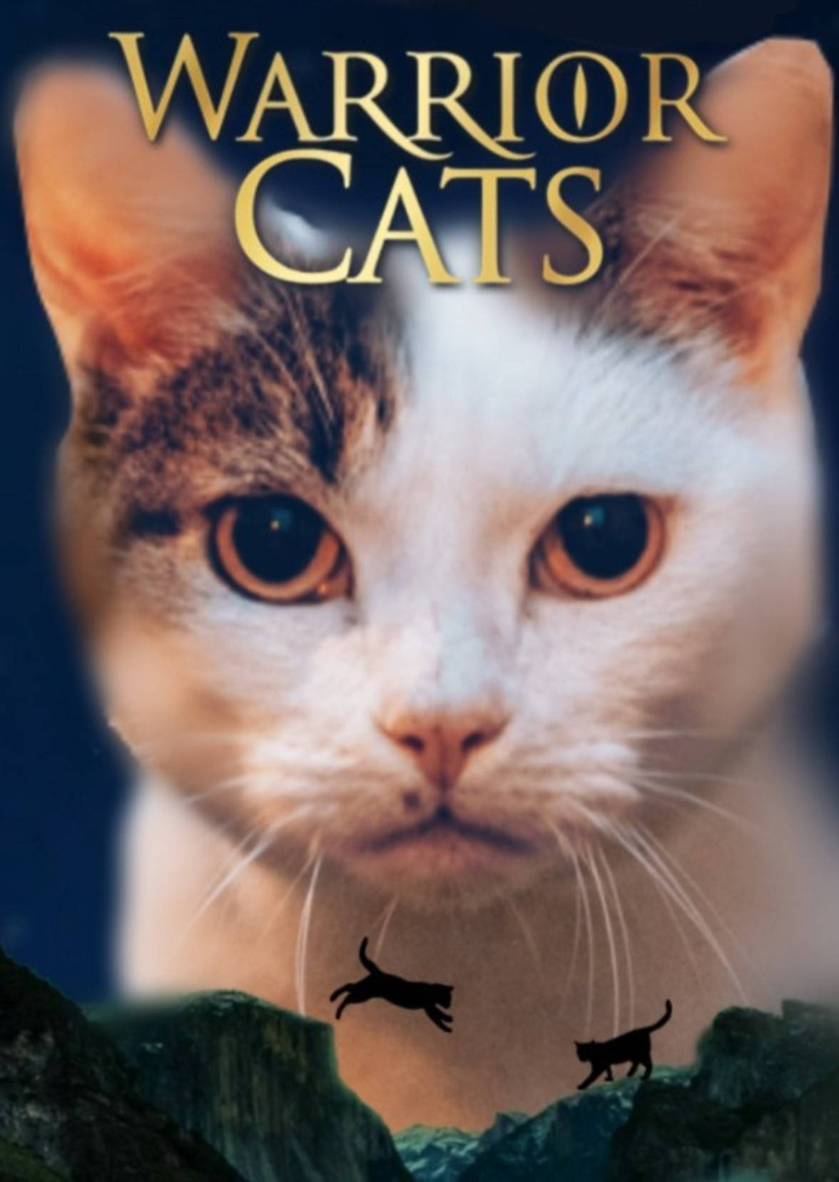 Warrior Cats, white and brown tabby cat, amber eyes, HD Phone Wallpaper