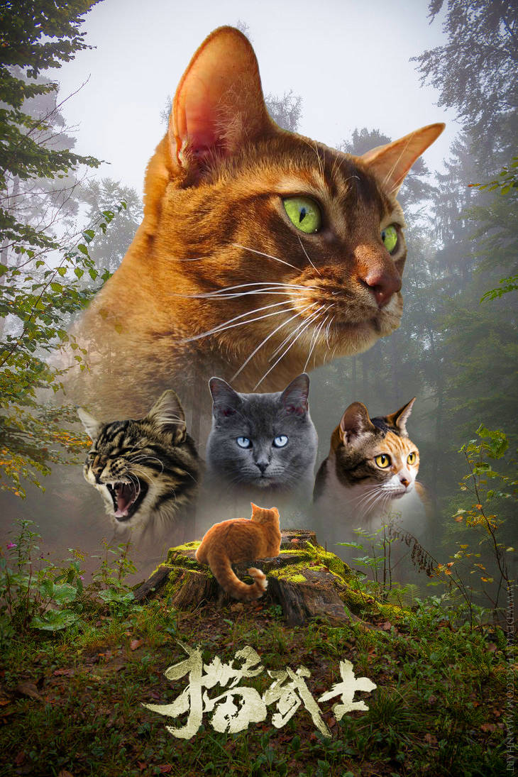 Warrior Cats, golden cat, glowing green eyes, SD Phone Wallpaper