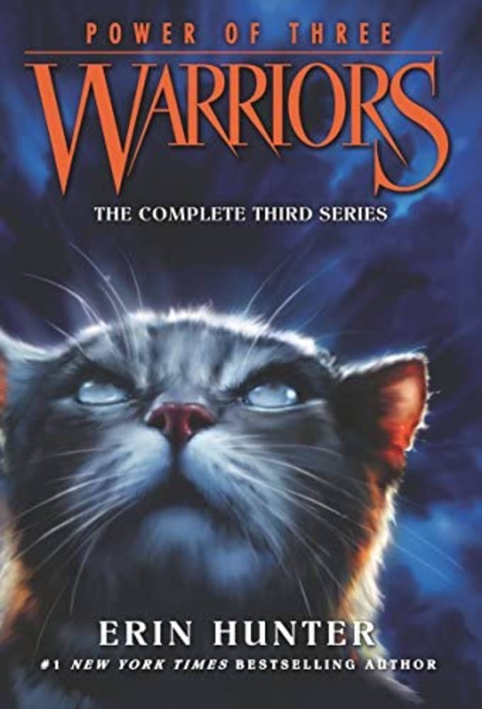 Warrior Cats, Third Book Cover, gray cat, SD Phone Wallpaper