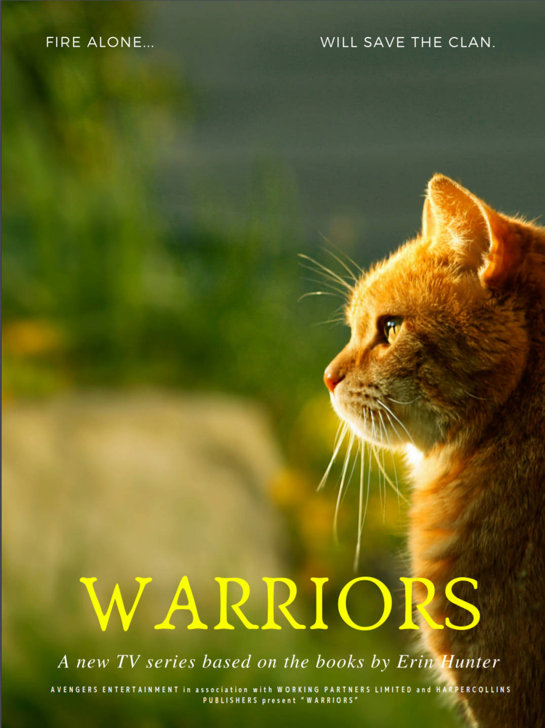 Warrior Cats, ginger cat, sunlit green backdrop, HD Phone Wallpaper