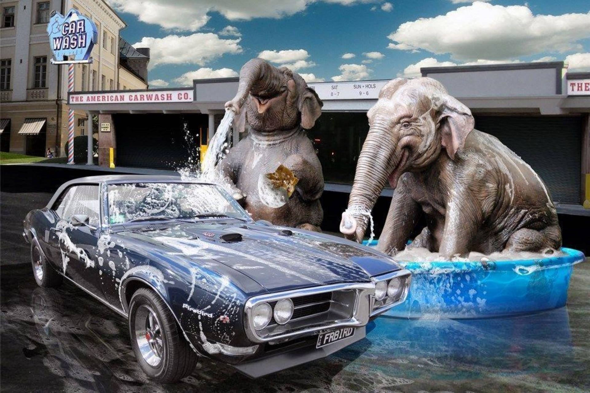 elephant car wash, classic muscle car, retro car wash, Full HD Desktop Wallpaper