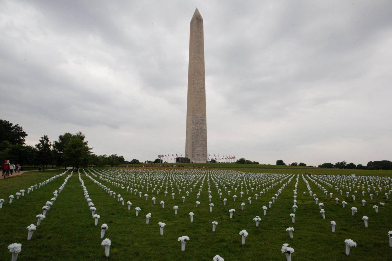 Washington Monument, white floral tributes, green lawn, HD Desktop Wallpaper