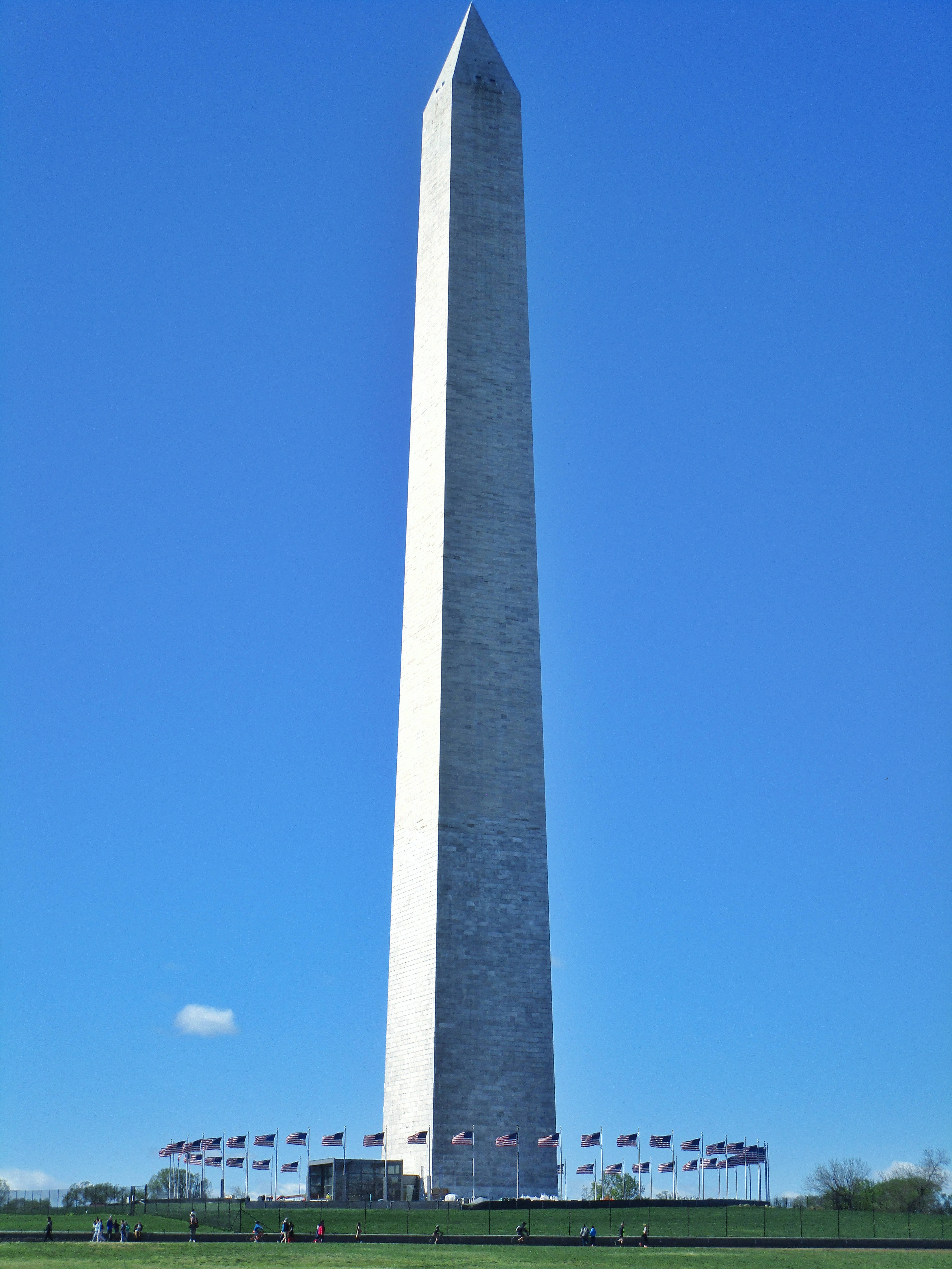 Washington Monument, clear blue sky, American flags, 5K Phone Wallpaper