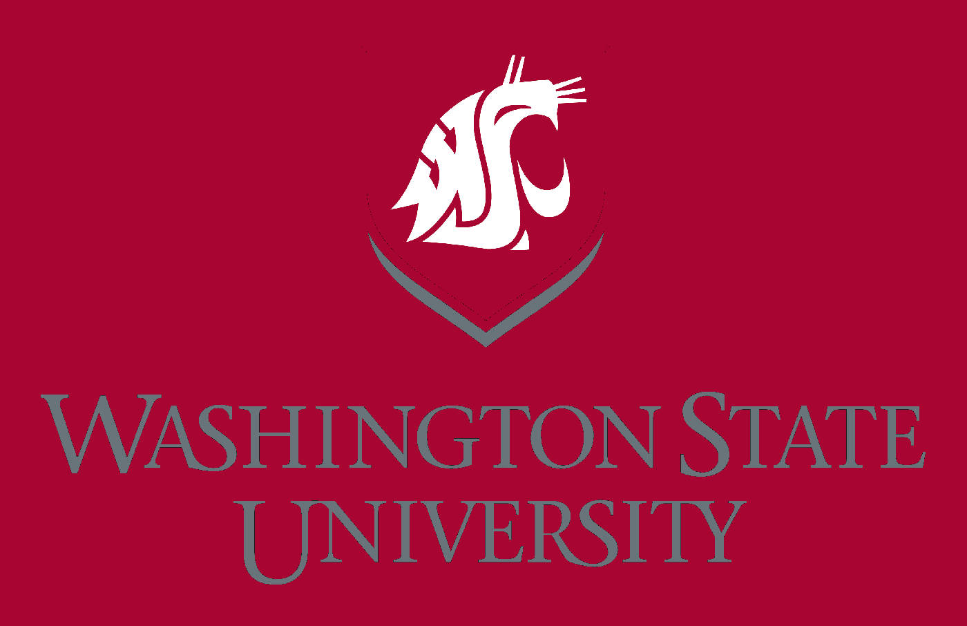 Washington State University, red background, crimson background, HD Desktop Wallpaper