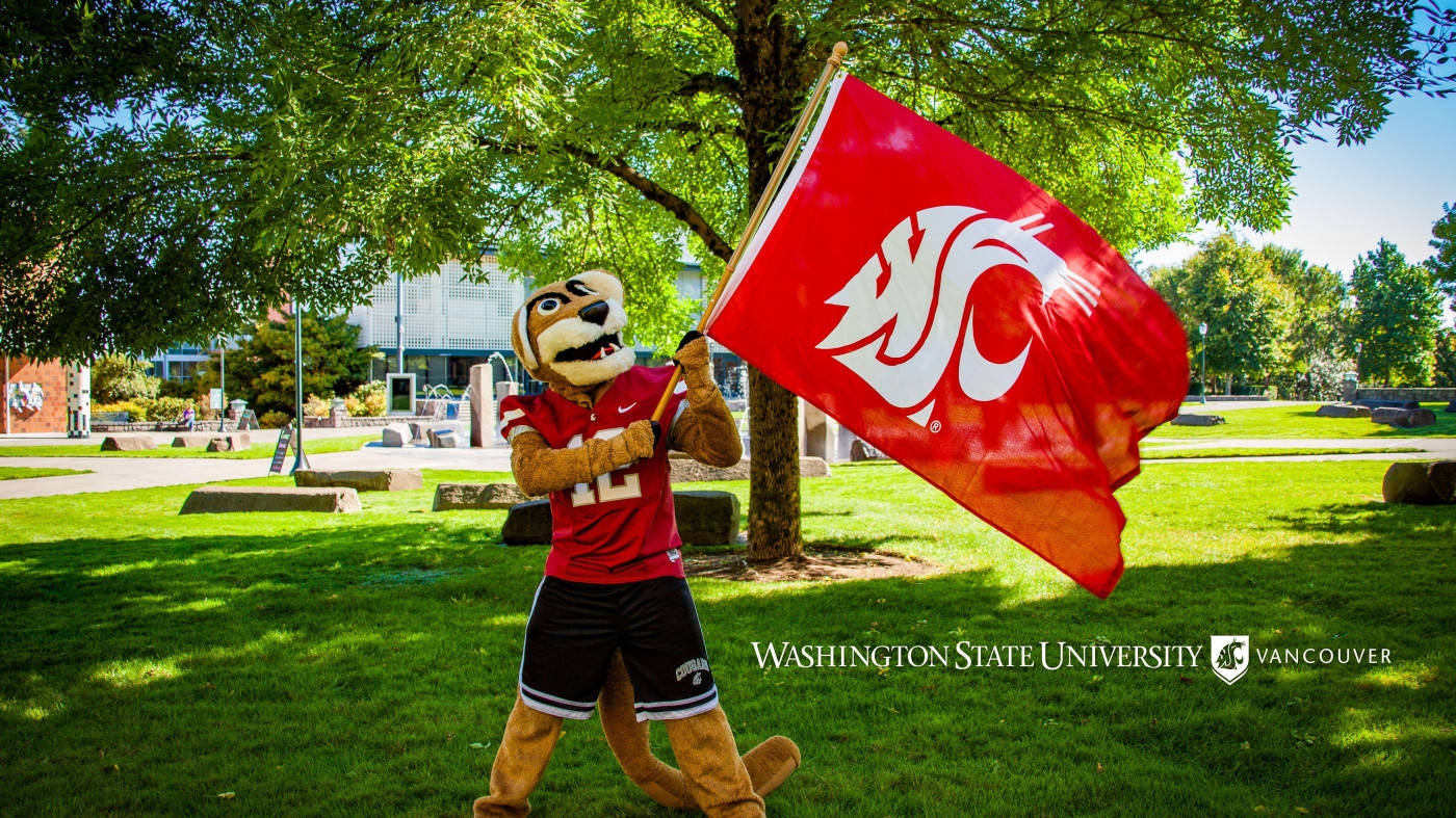 Washington State University, cougar mascot, red jersey, HD Desktop Wallpaper